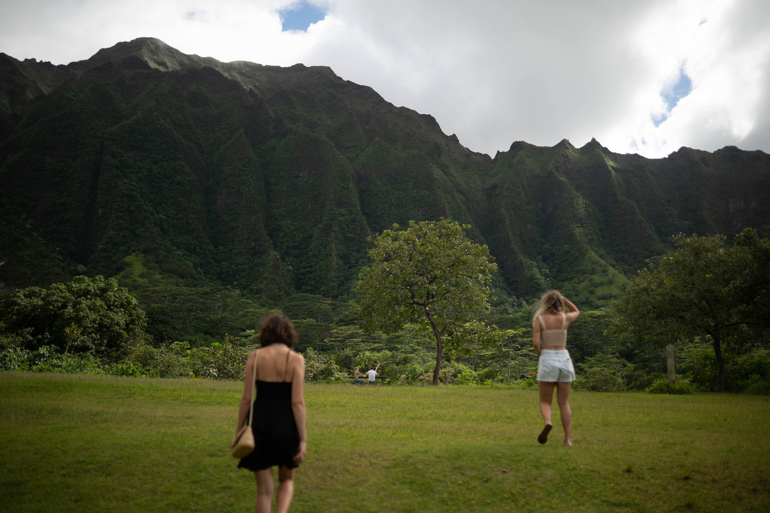 Be. Photographer in Hawaii