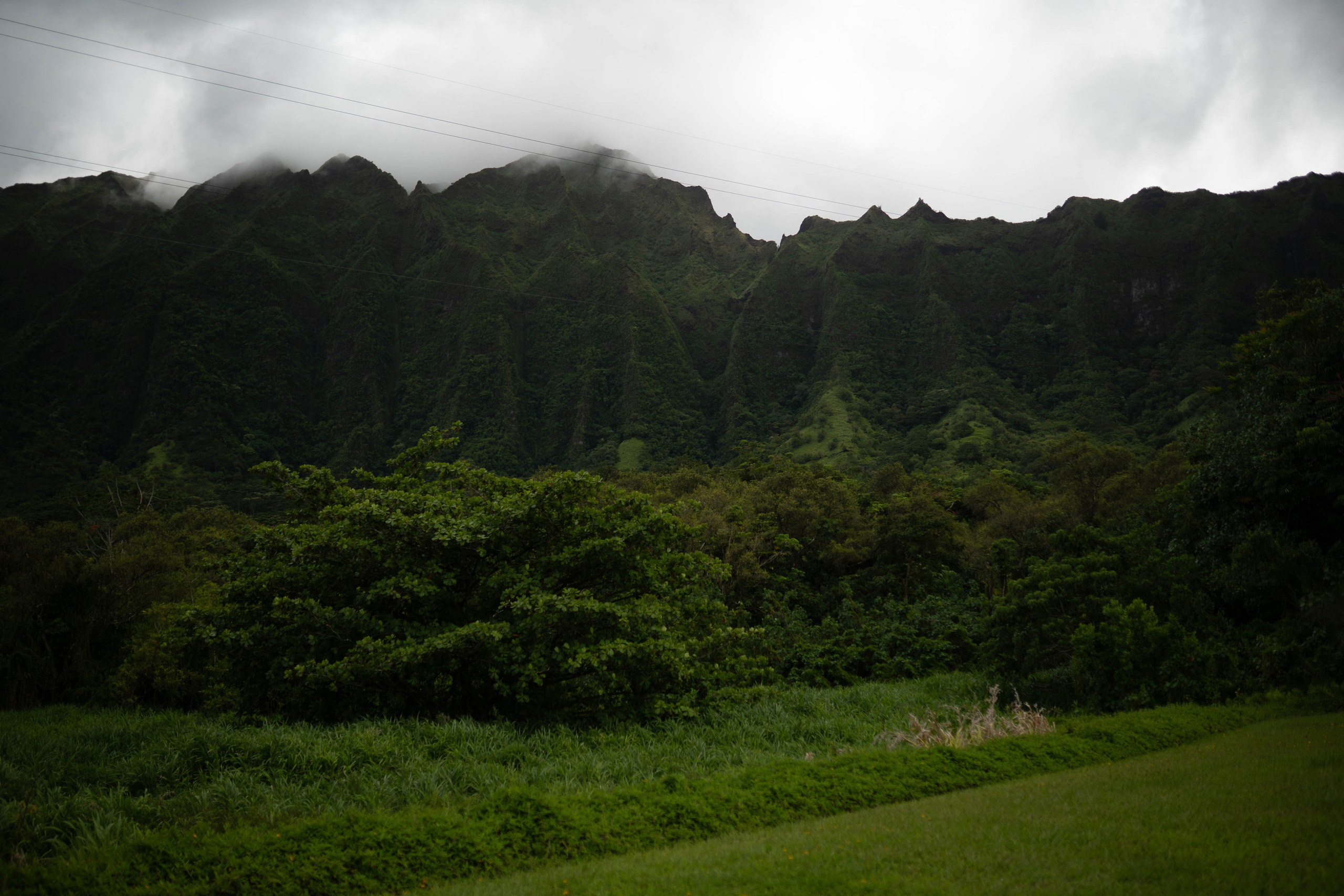 Be. Photographer in Hawaii