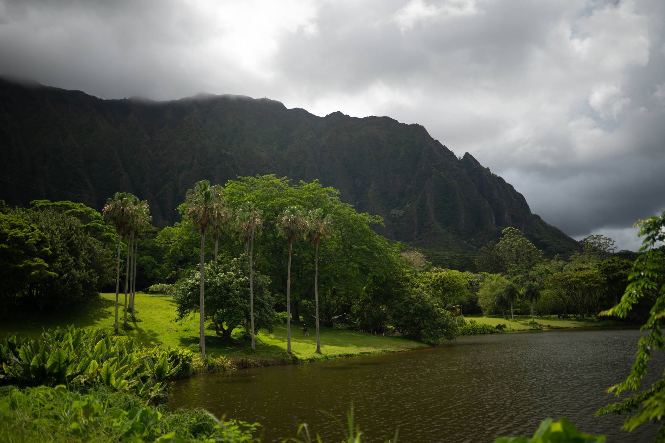 Be. Photographer in Hawaii