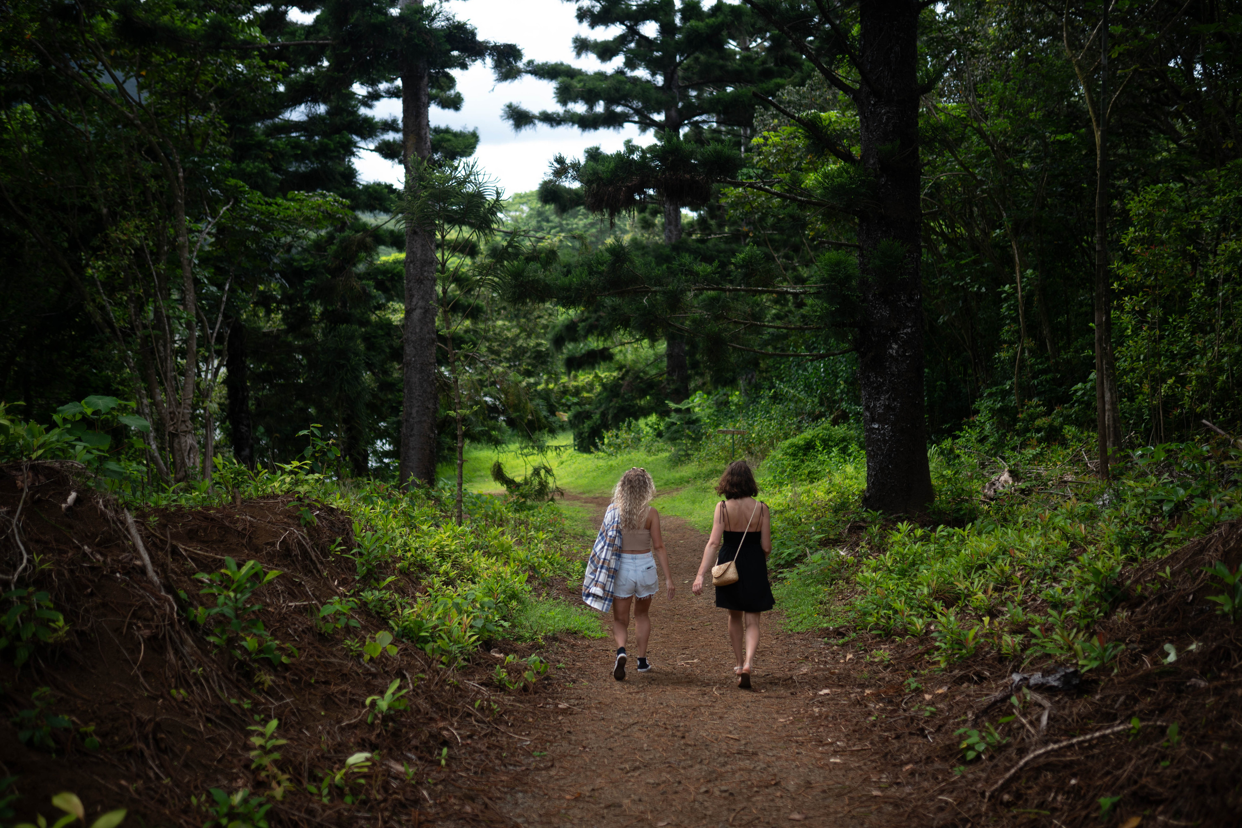 Be. Photographer in Hawaii