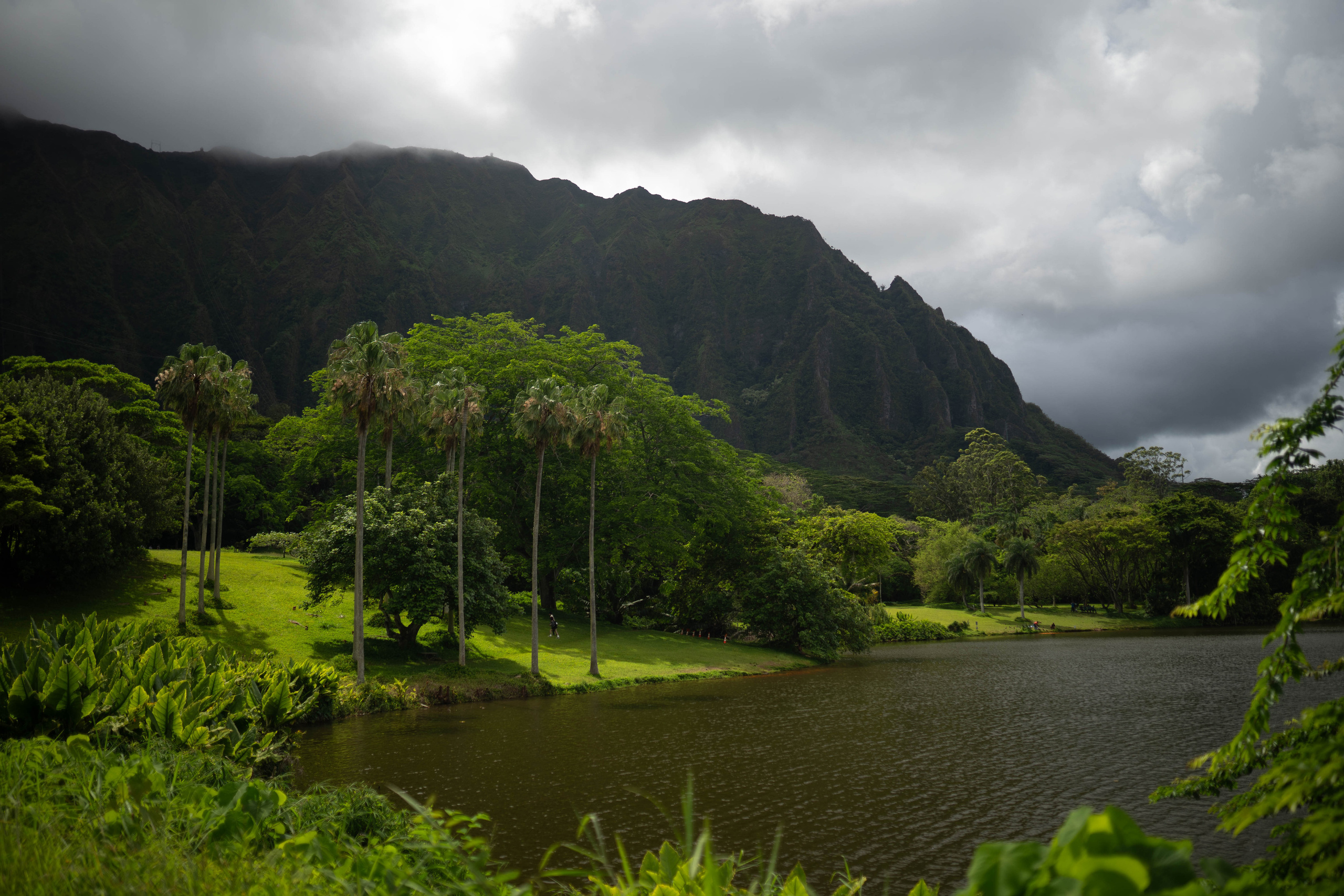 Be. Photographer in Hawaii