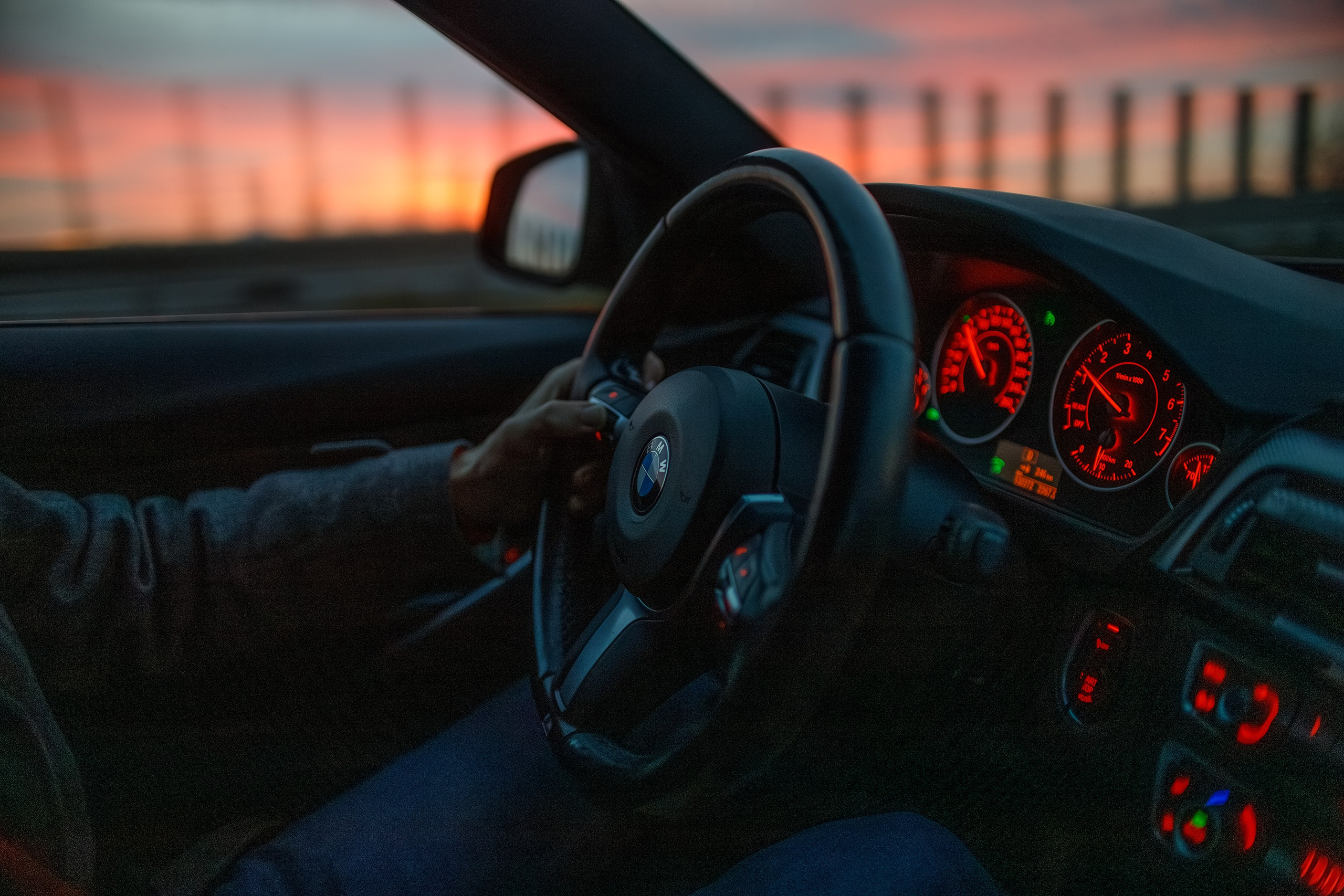 Sowie góry. Kaja | fotograf we Wrocławiu | ludzie i psy