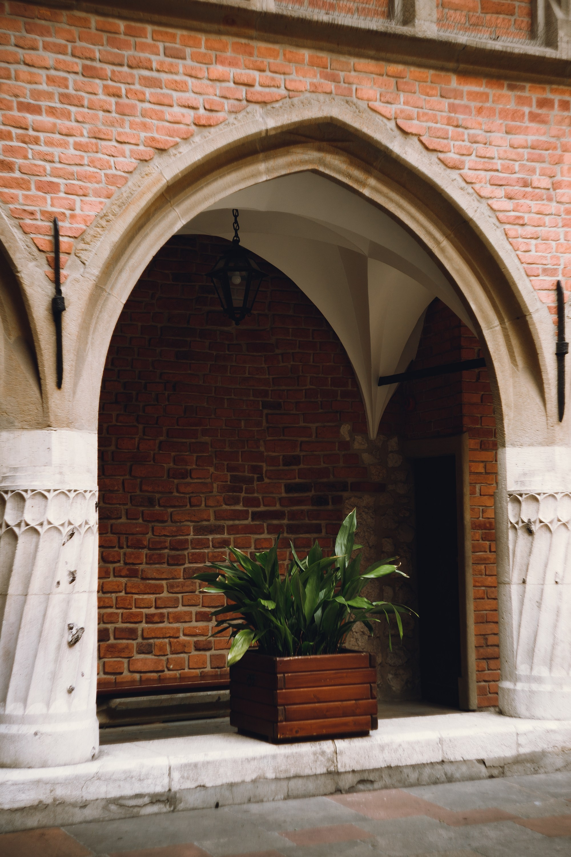 Krakow. Kaja | fotograf psów we Wrocławiu