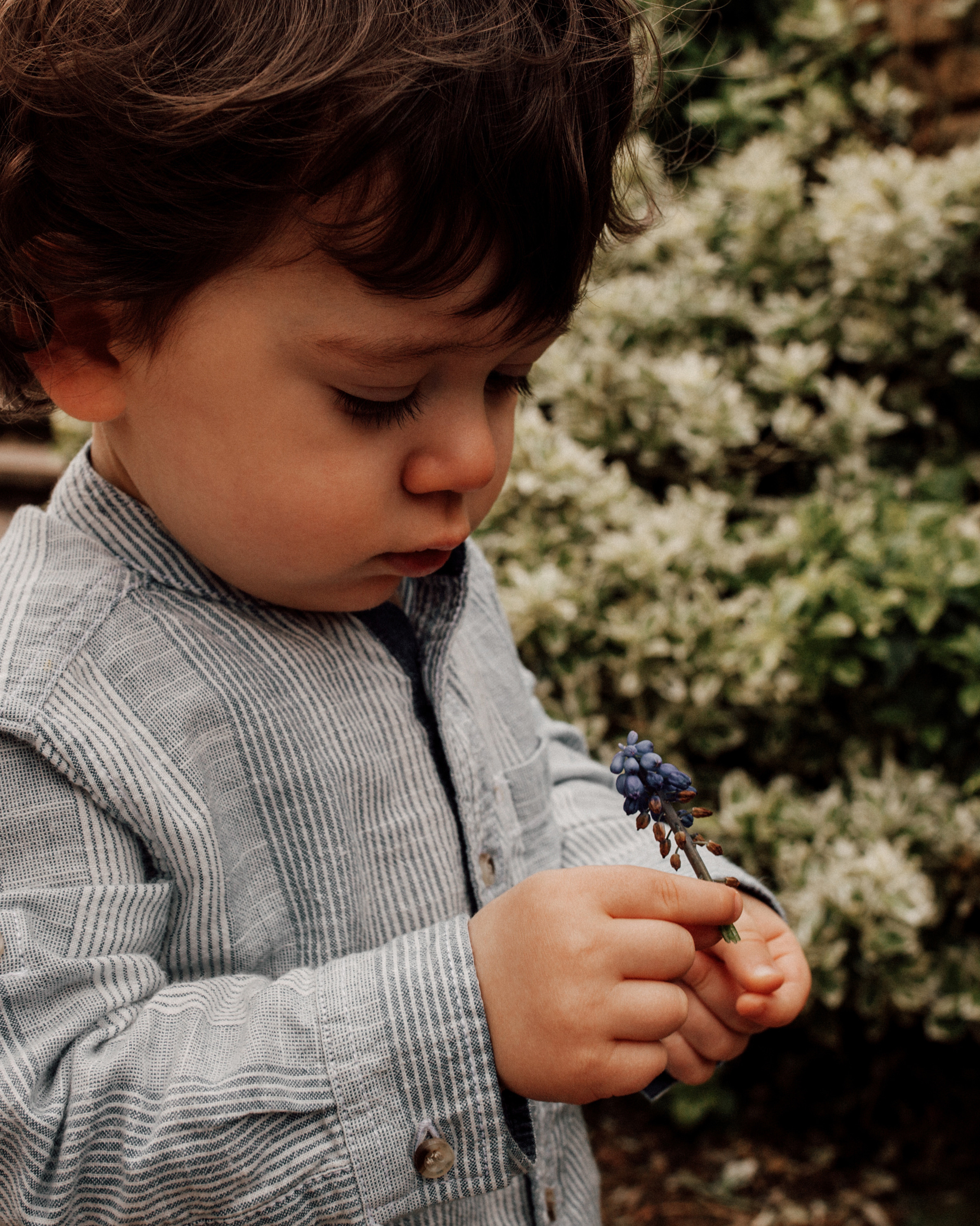 Child. Premium Maternity, Newborn & Family Photography in London