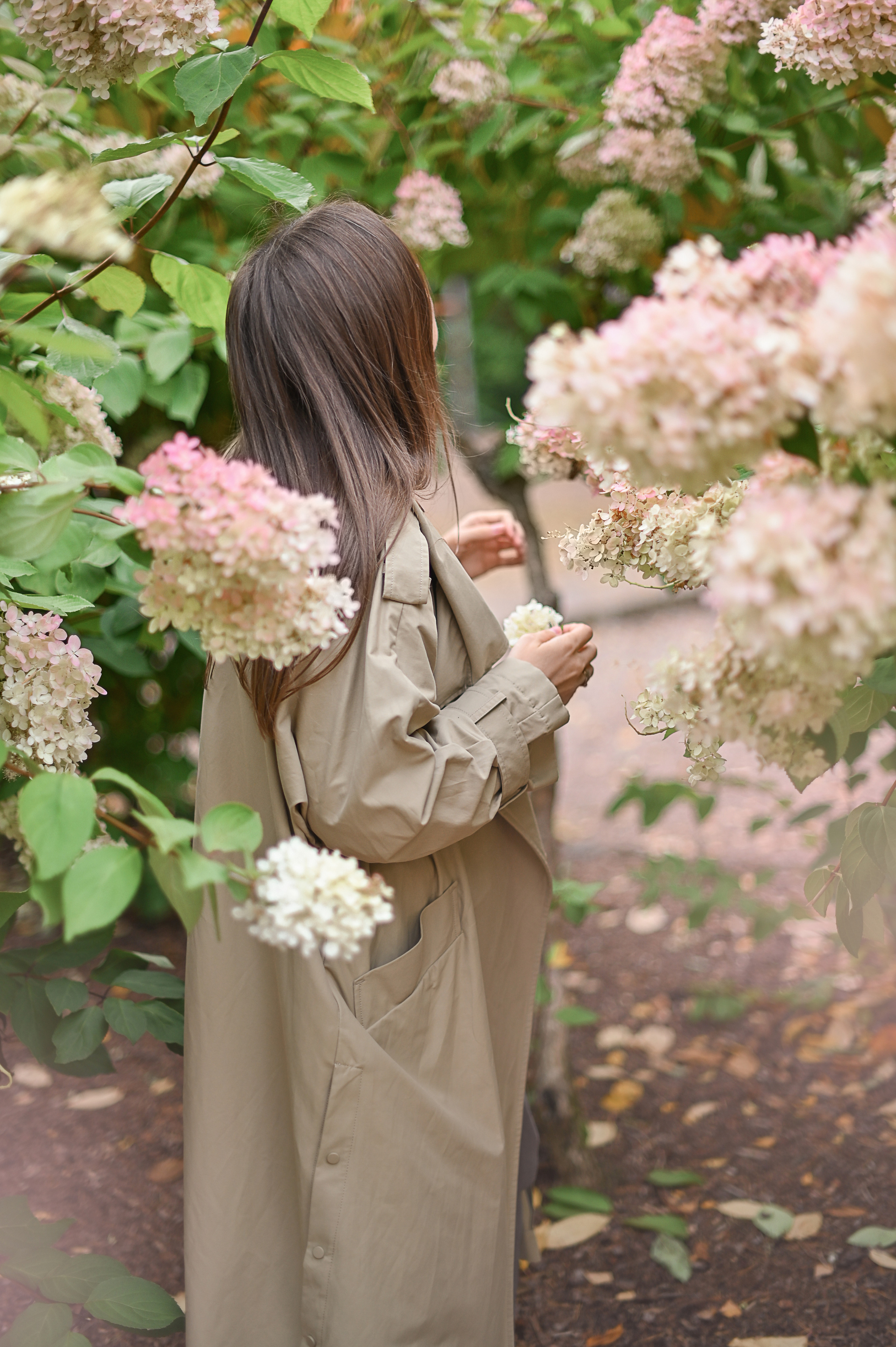 Дина и гортензия. Детский и семейный фотограф в финляндии дина пулкка. контент фотограф