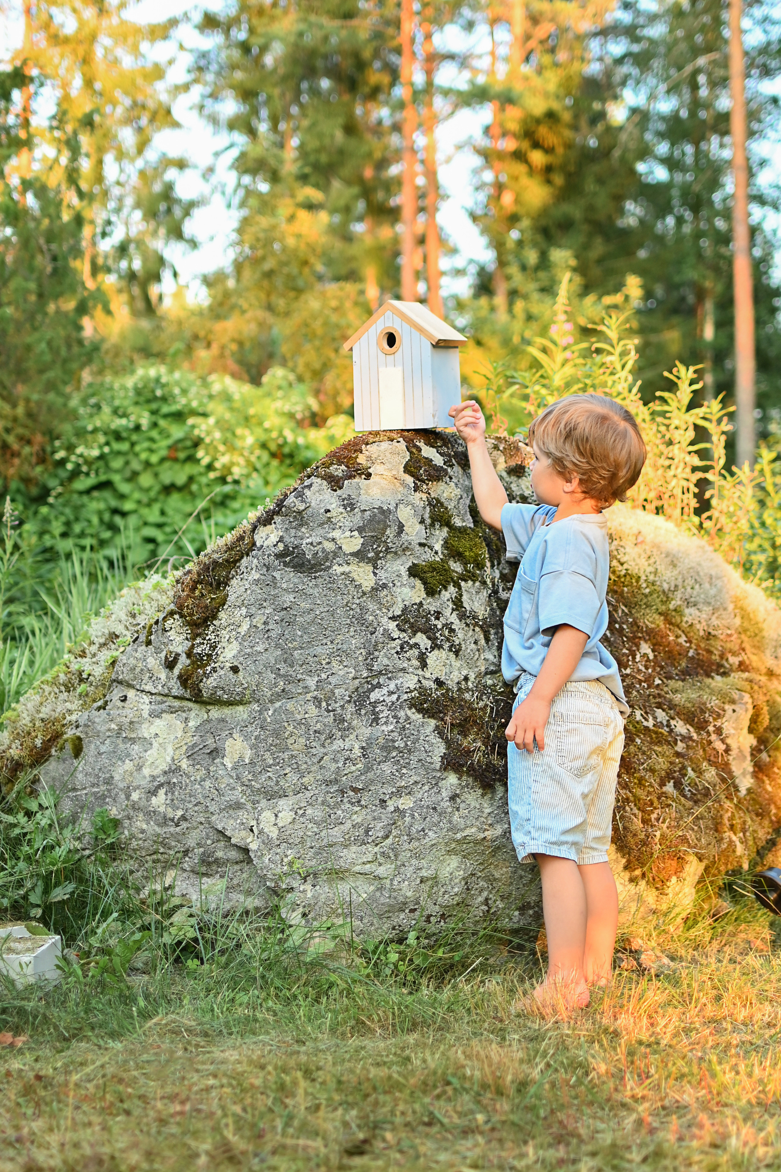 Фотосессия со скворечником. Детский и семейный фотограф в финляндии дина пулкка. контент фотограф