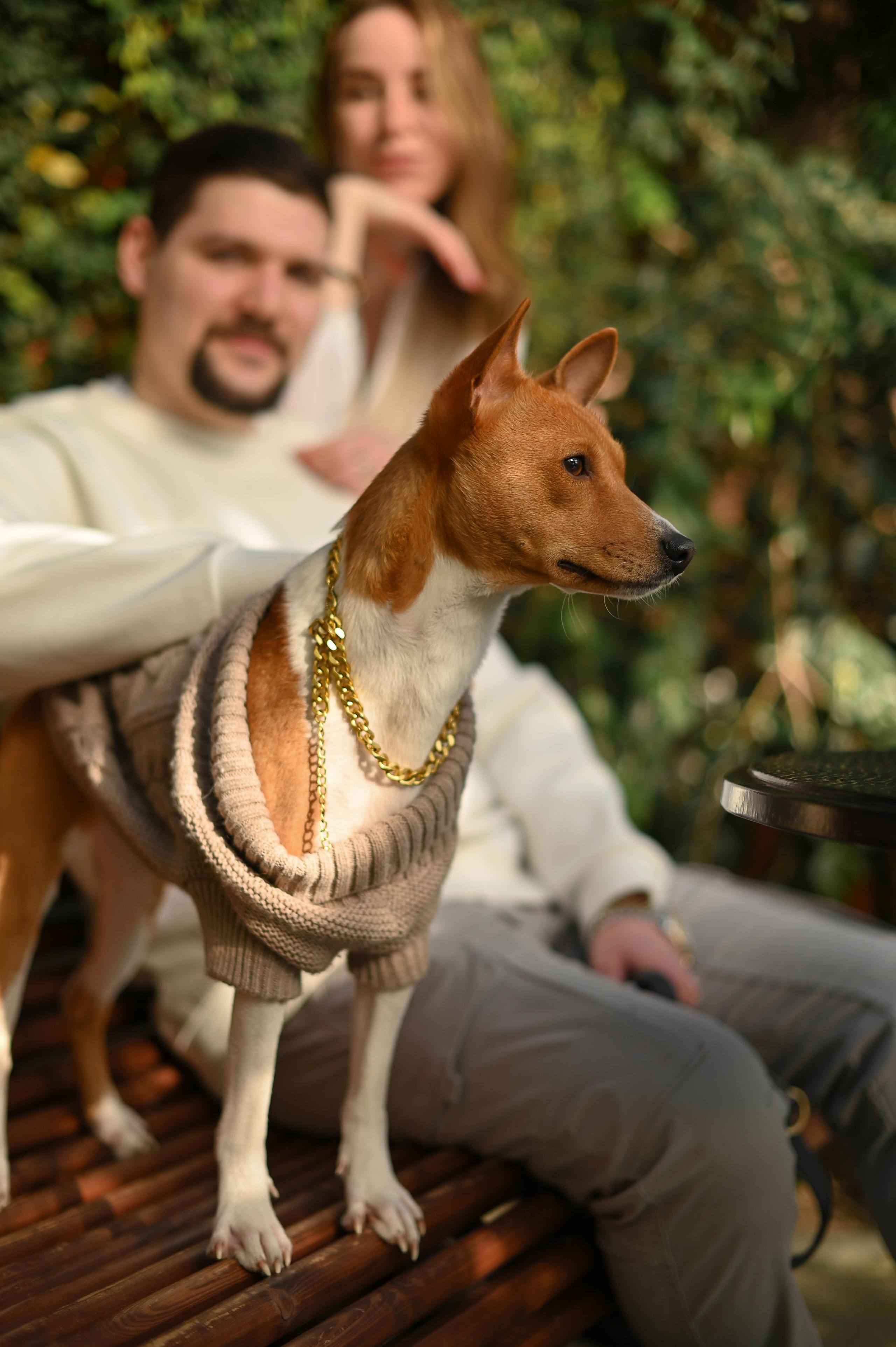 Прогулка в оранжерее. Детский и семейный фотограф в финляндии дина пулкка. контент фотограф