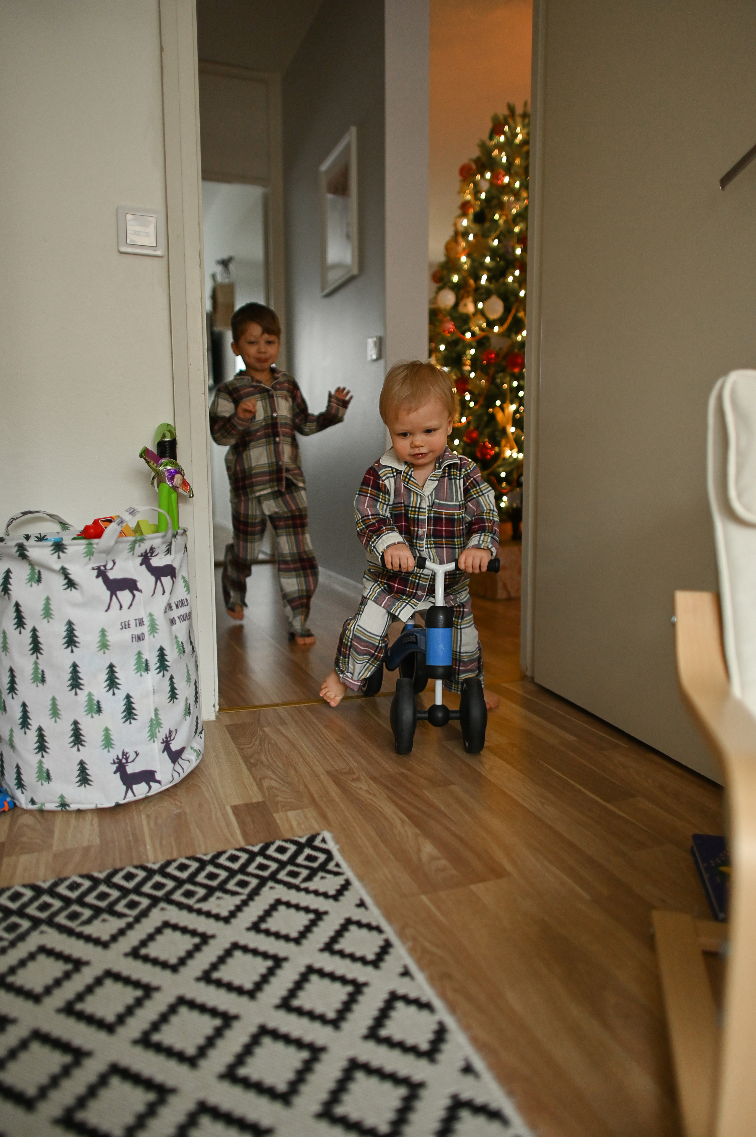 Братья встречают Рождество. Детский и семейный фотограф в финляндии дина пулкка. контент фотограф