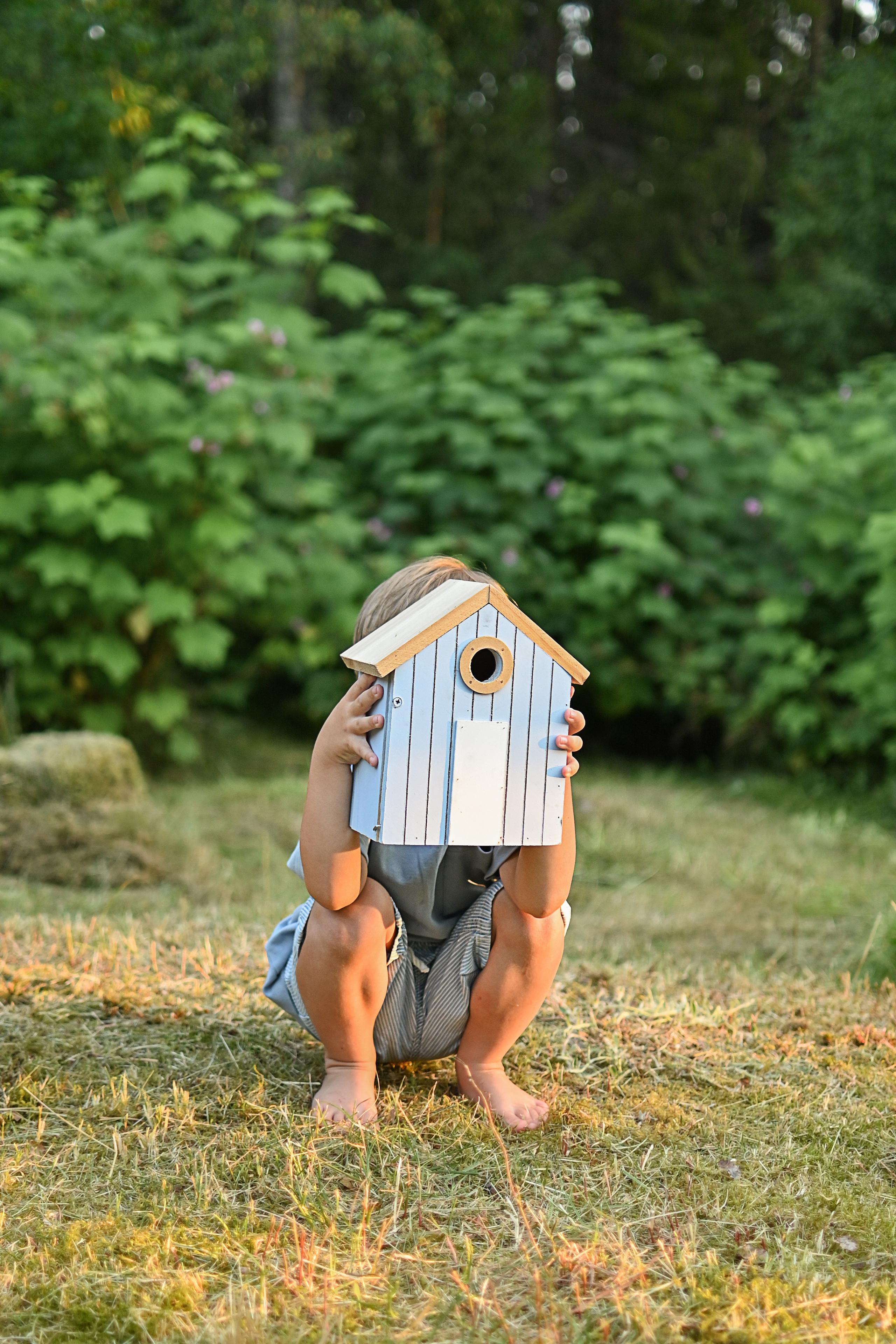 Фотосессия со скворечником. Детский и семейный фотограф в финляндии дина пулкка. контент фотограф