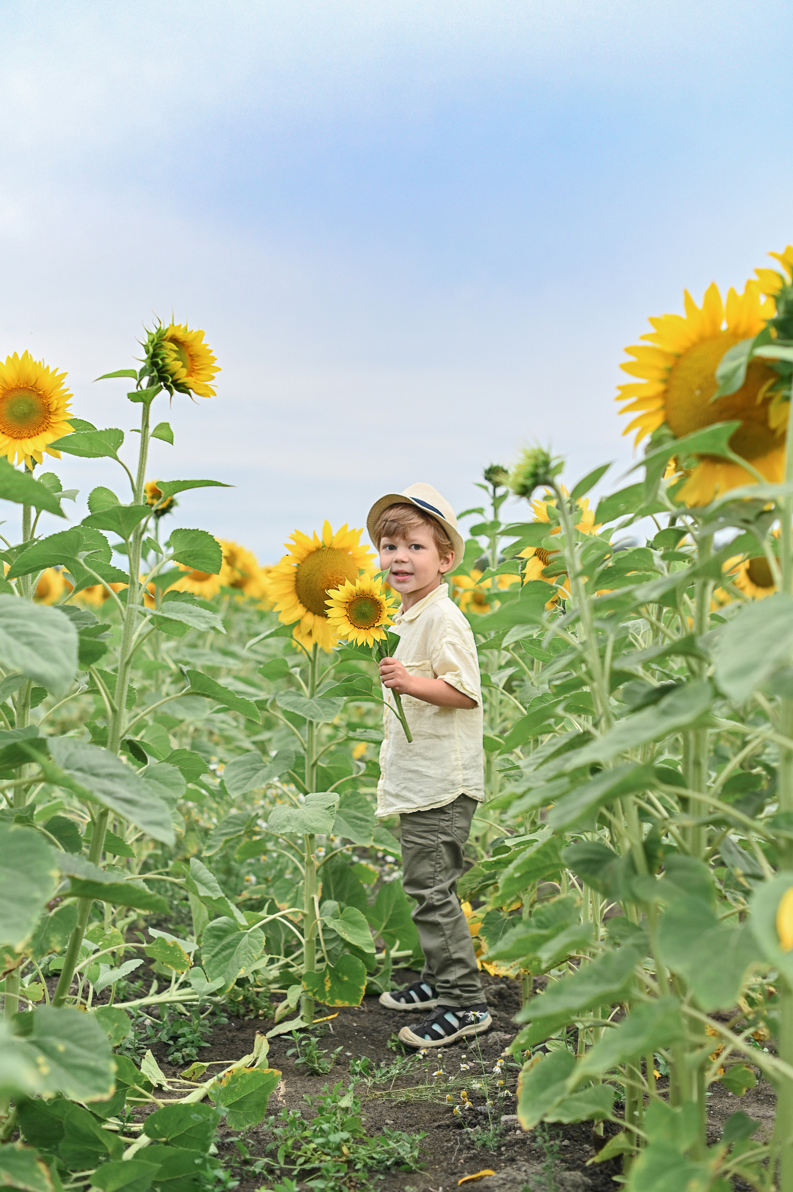Дина с детьми в подсолнухах. Детский и семейный фотограф в финляндии дина пулкка. контент фотограф