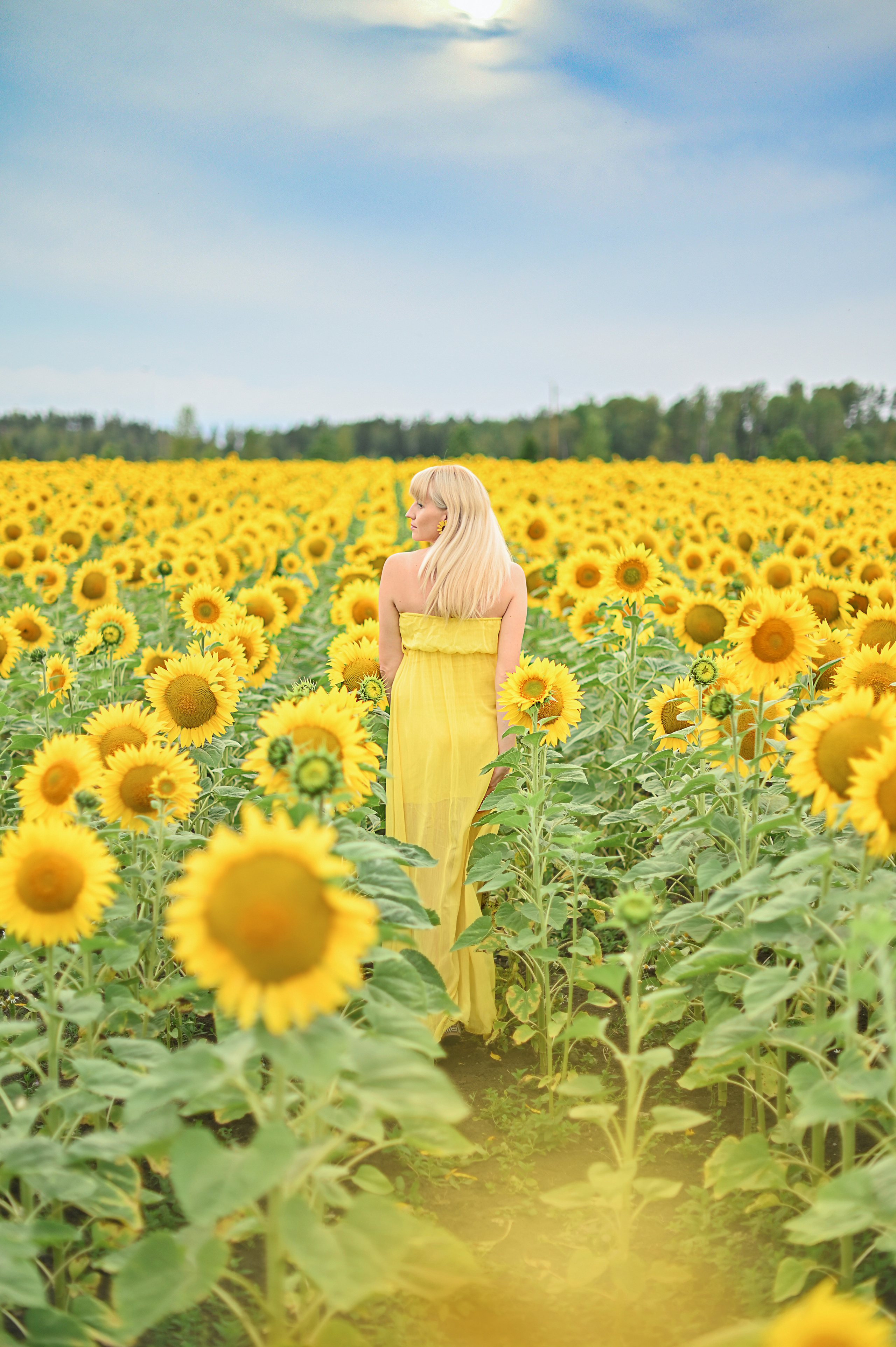 Юлия, дети и подсолнухи. Детский и семейный фотограф в финляндии дина пулкка. контент фотограф