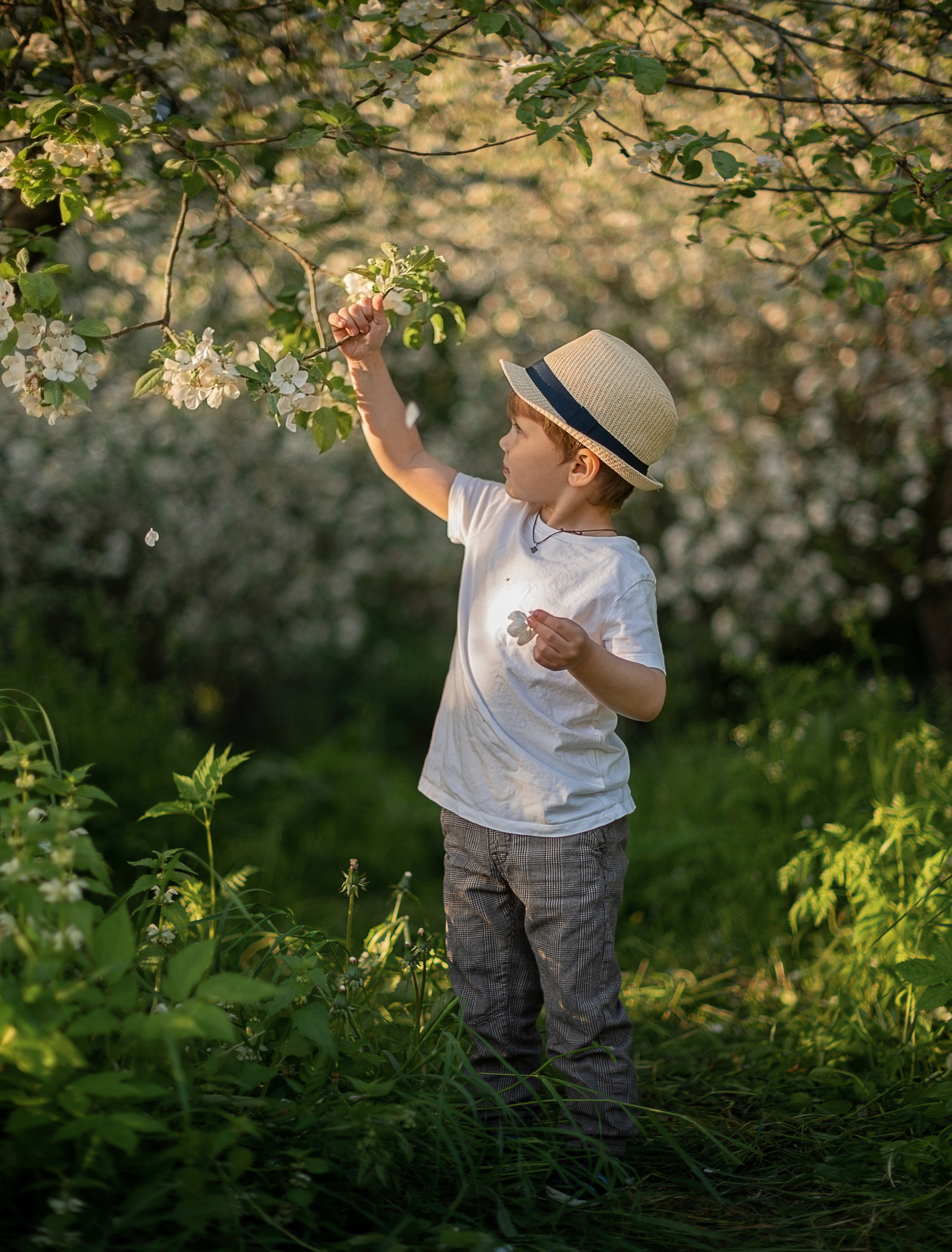 В яблонях. Детский и семейный фотограф в финляндии дина пулкка. контент фотограф
