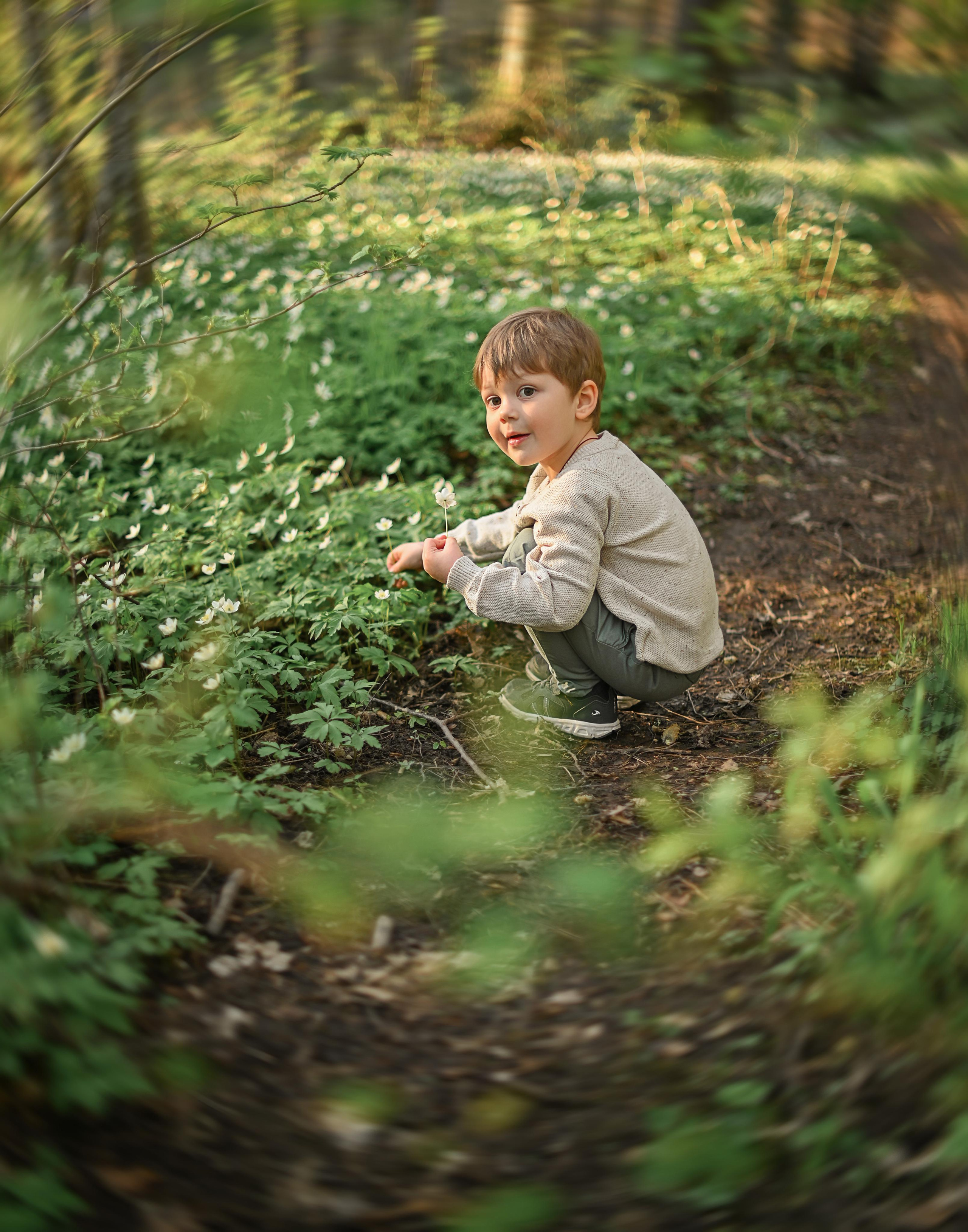 В поисках подснежников. Детский и семейный фотограф в финляндии дина пулкка. контент фотограф