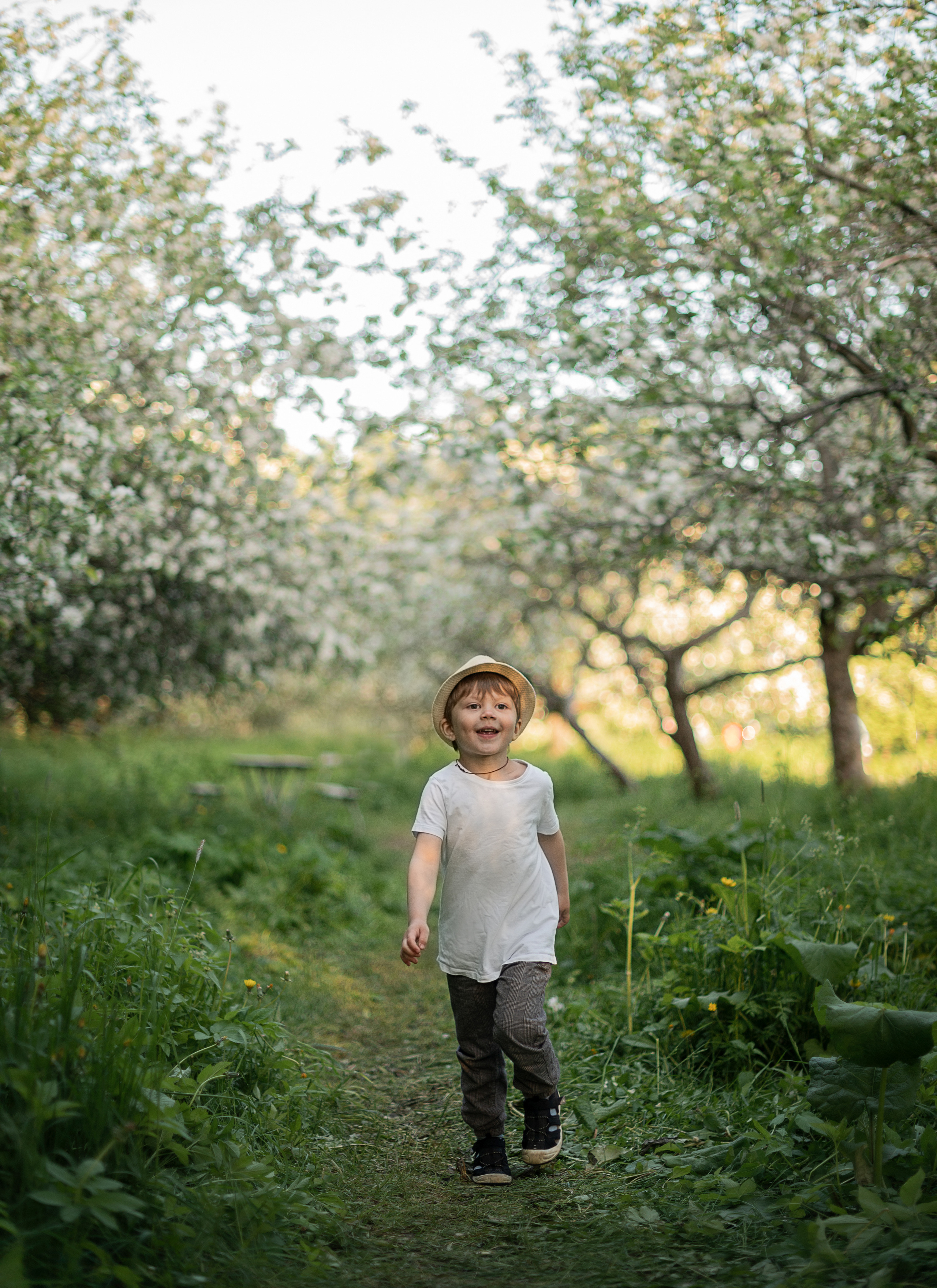 В яблонях. Детский и семейный фотограф в финляндии дина пулкка. контент фотограф