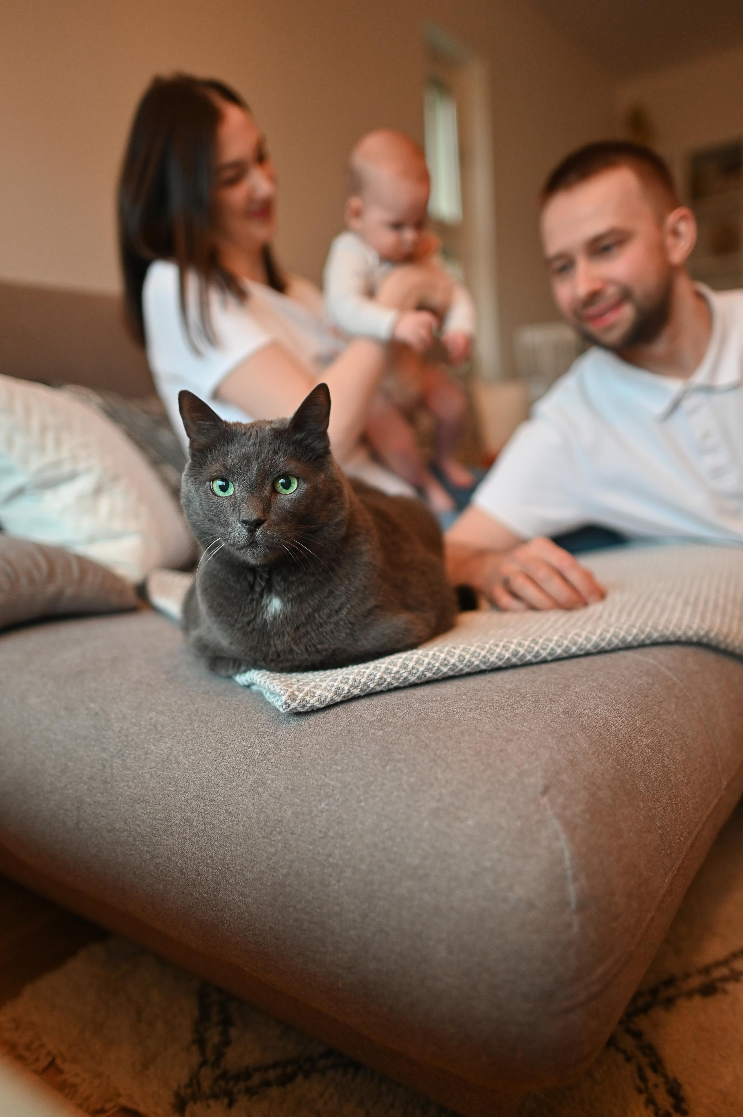 Катя и Миша. Детский и семейный фотограф в финляндии дина пулкка. контент фотограф