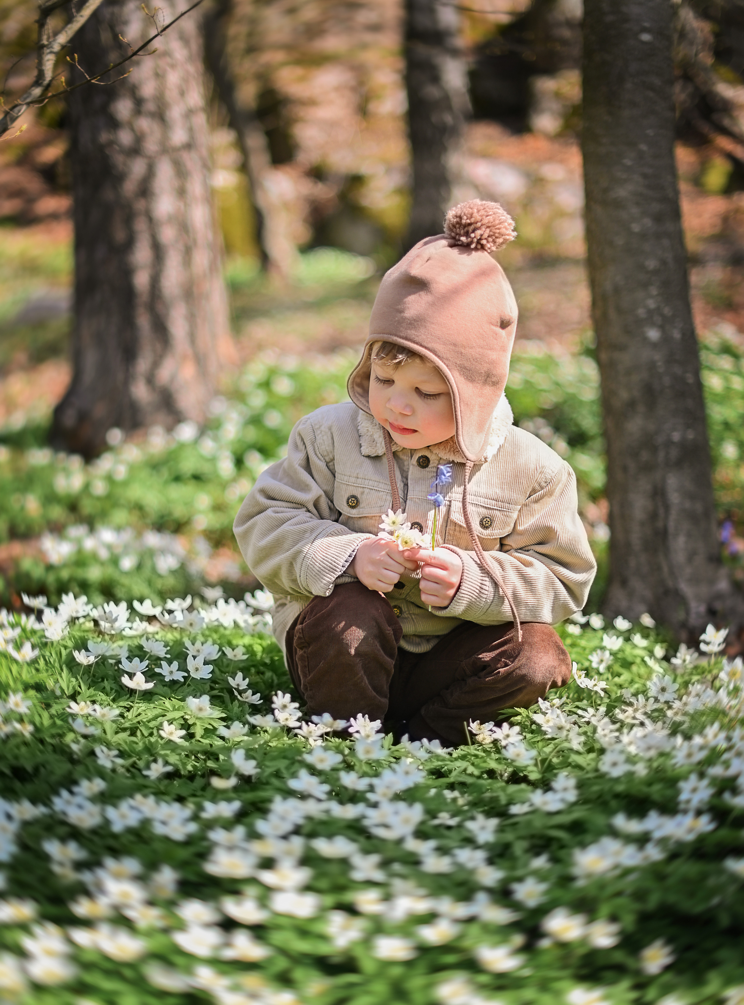 В поисках подснежников. Детский и семейный фотограф в финляндии дина пулкка. контент фотограф