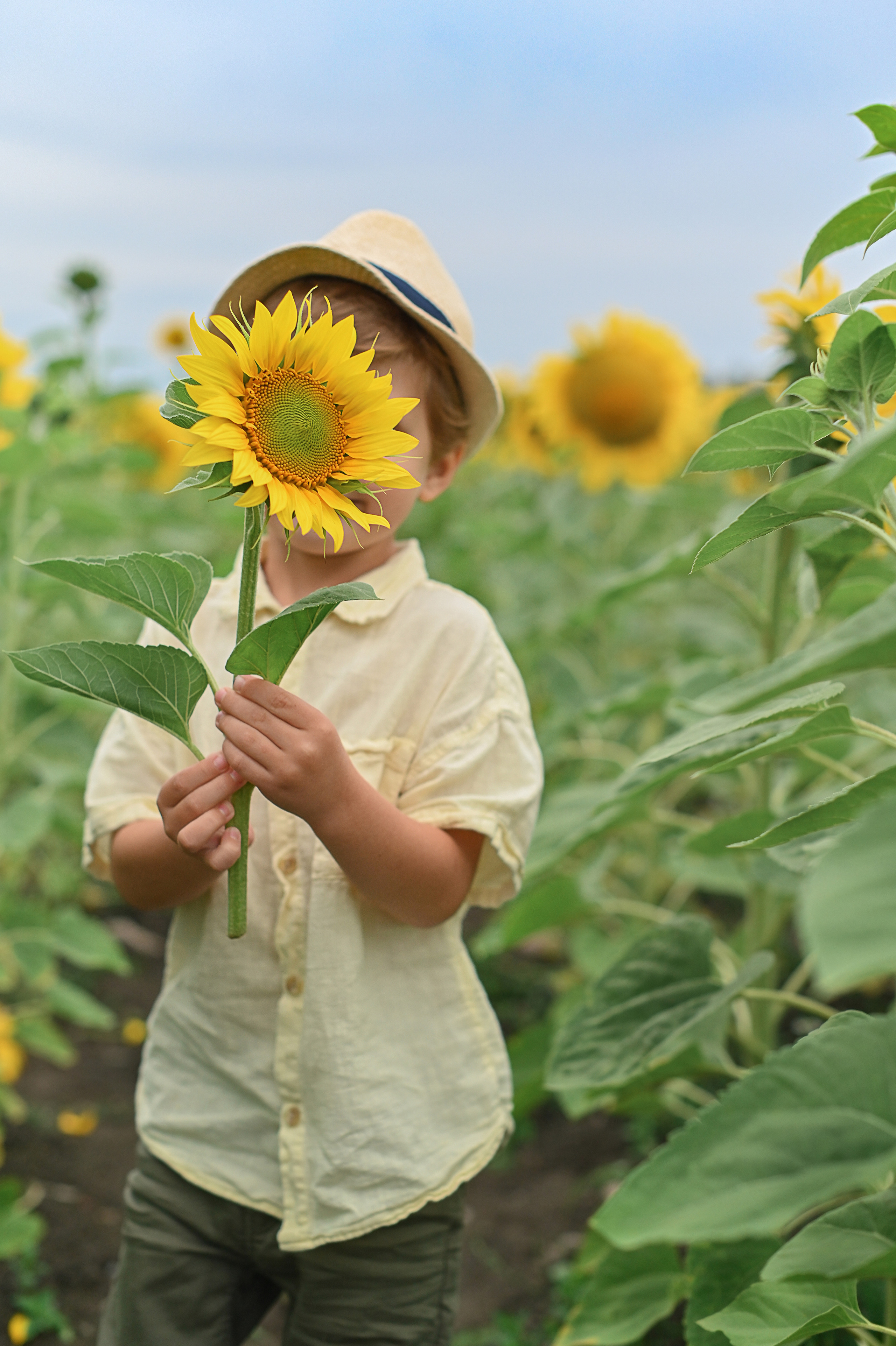 Дина с детьми в подсолнухах. Детский и семейный фотограф в финляндии дина пулкка. контент фотограф