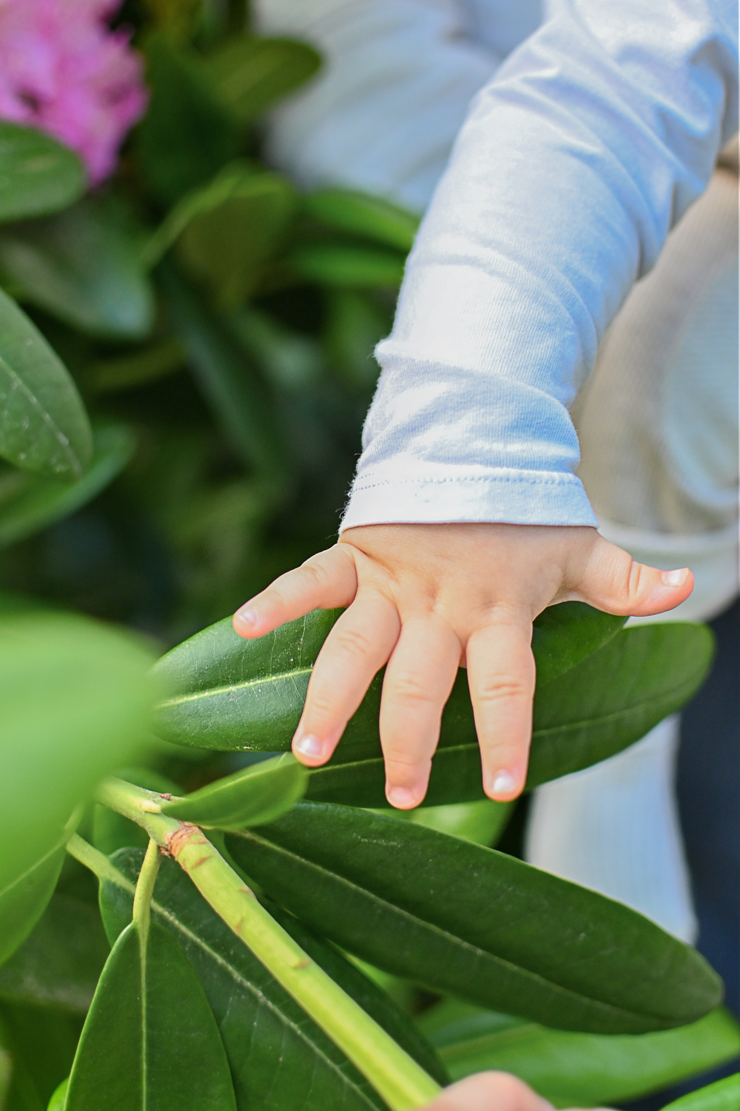 Семья в парке Рододендронов. Детский и семейный фотограф в финляндии дина пулкка. контент фотограф