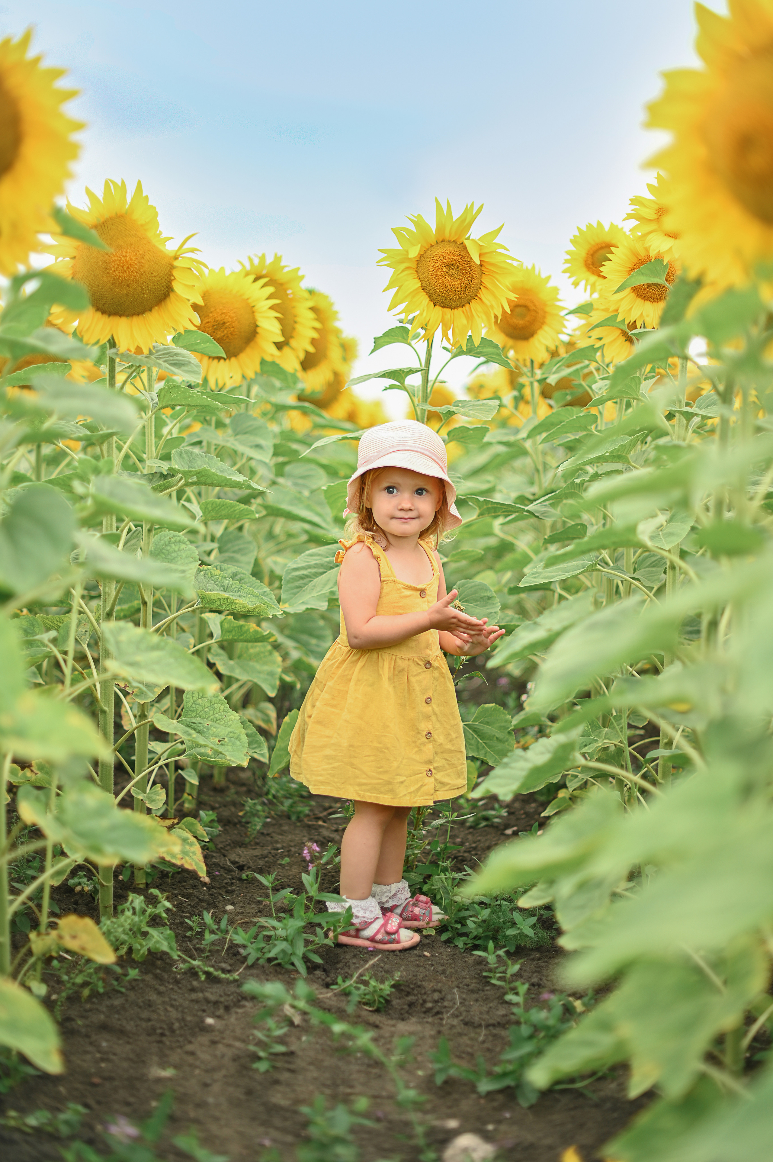 Юлия, дети и подсолнухи. Детский и семейный фотограф в финляндии дина пулкка. контент фотограф