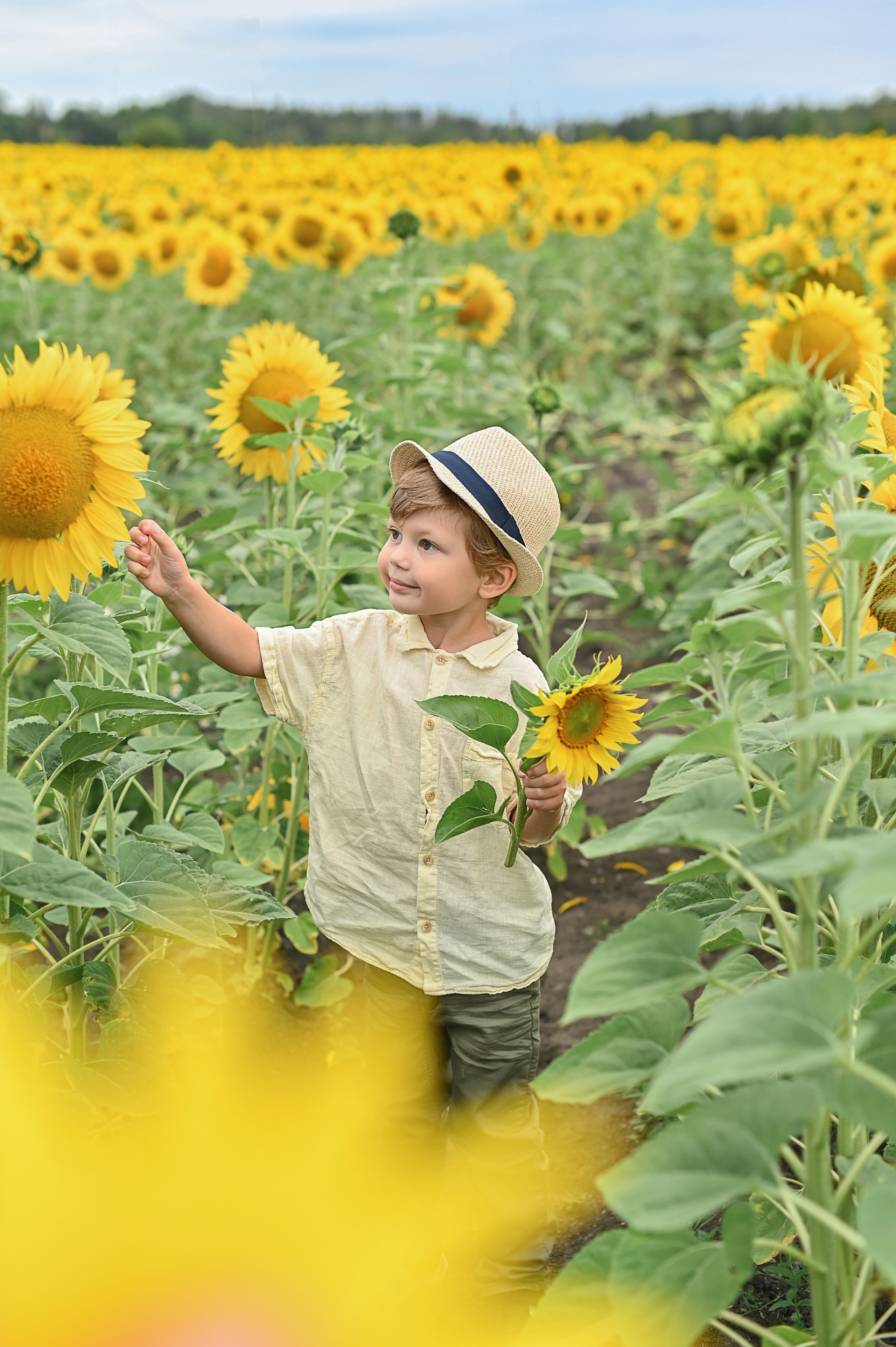Дина с детьми в подсолнухах. Детский и семейный фотограф в финляндии дина пулкка. контент фотограф