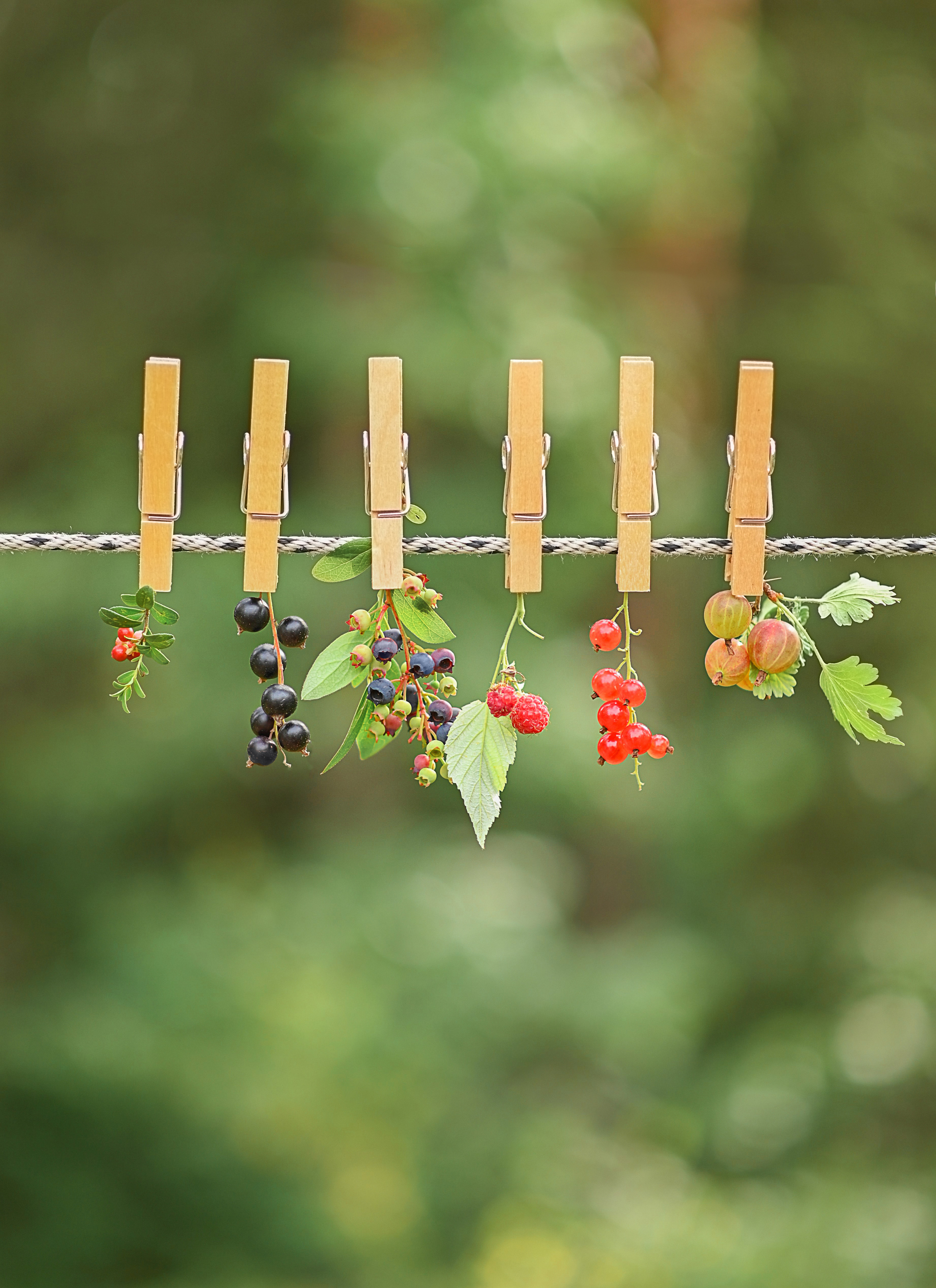 Предметная съемка. Детский и семейный фотограф в финляндии дина пулкка. контент фотограф