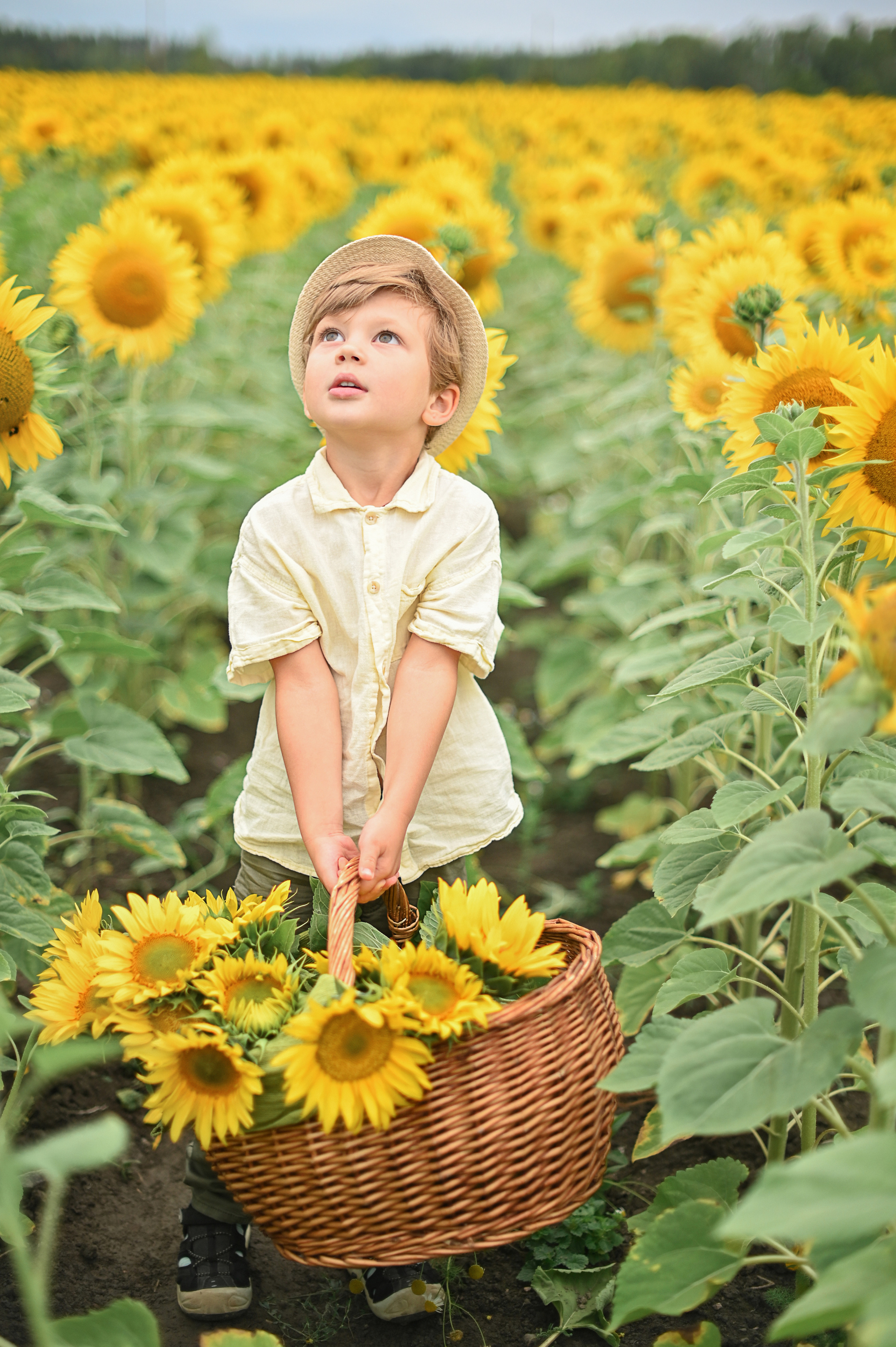 Дина с детьми в подсолнухах. Детский и семейный фотограф в финляндии дина пулкка. контент фотограф