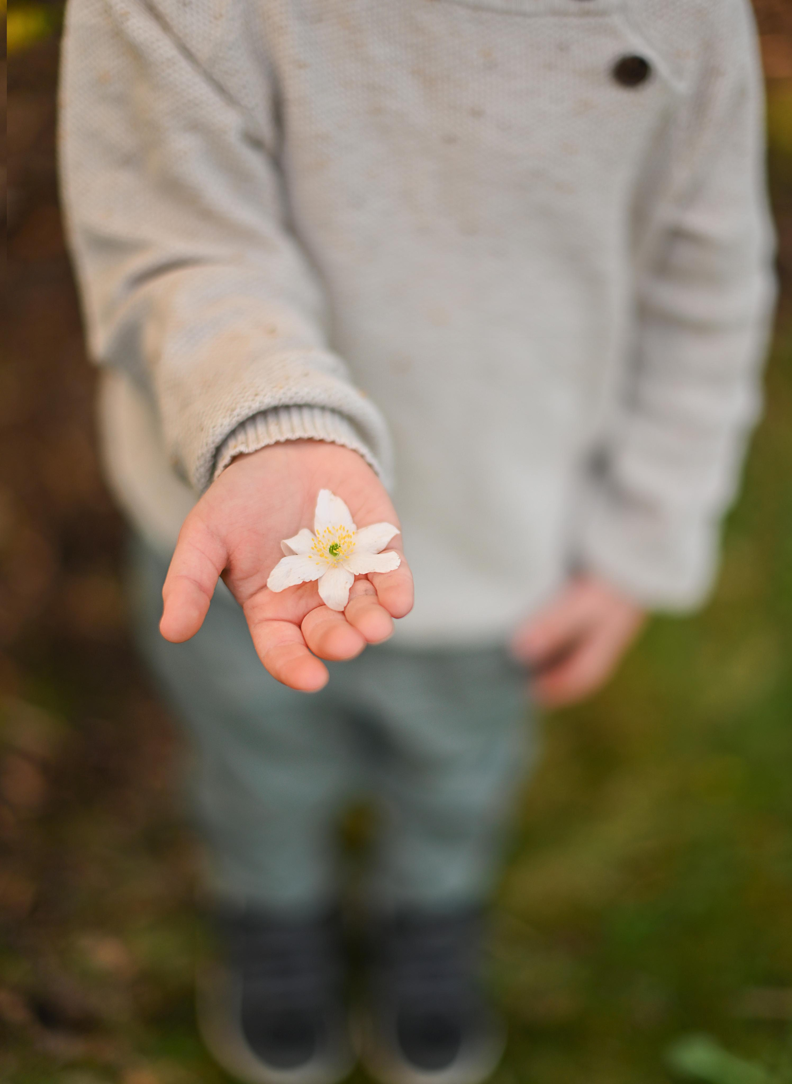 В поисках подснежников. Детский и семейный фотограф в финляндии дина пулкка. контент фотограф