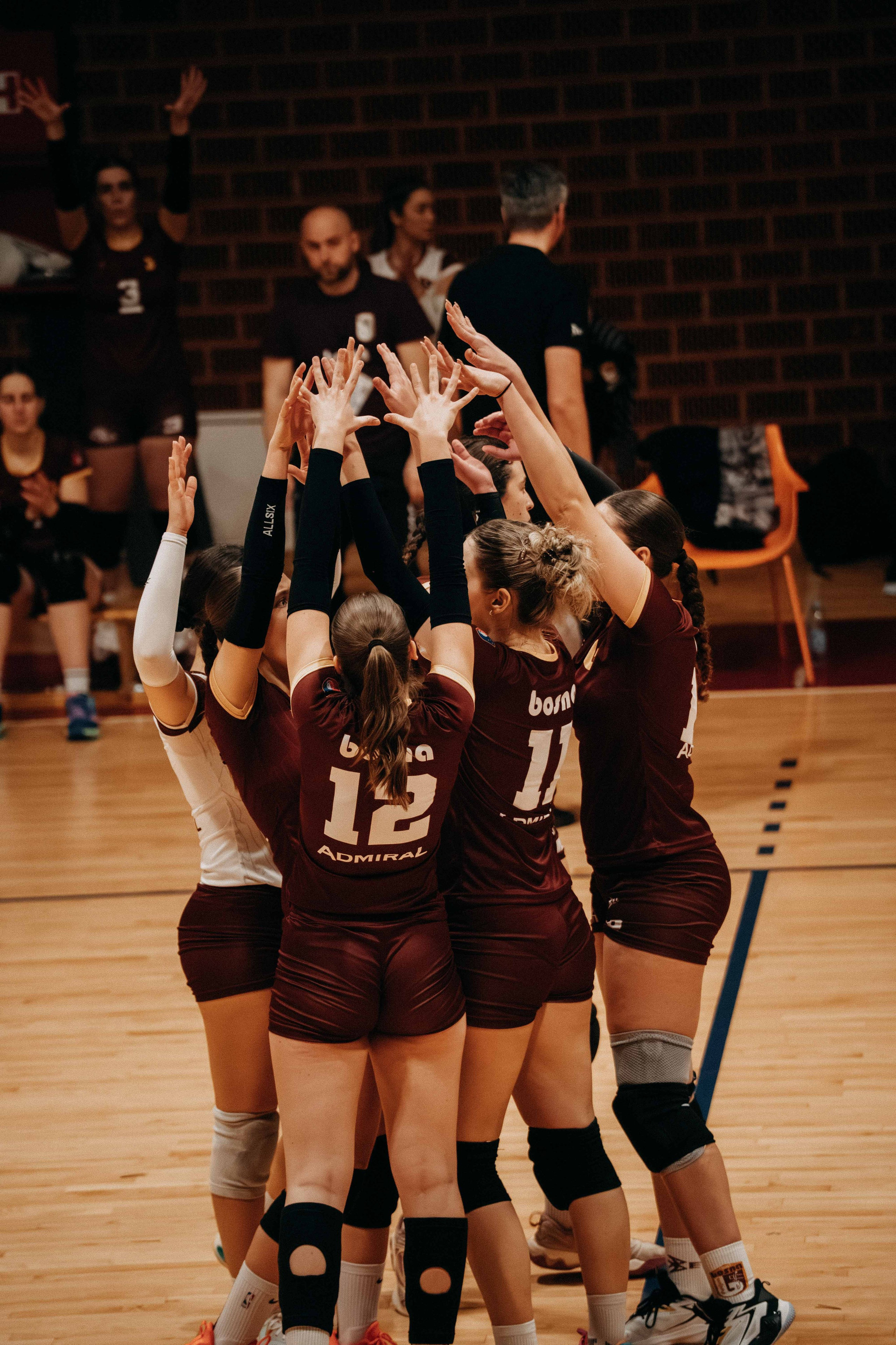 ŽOK Bosna — 2025/2026