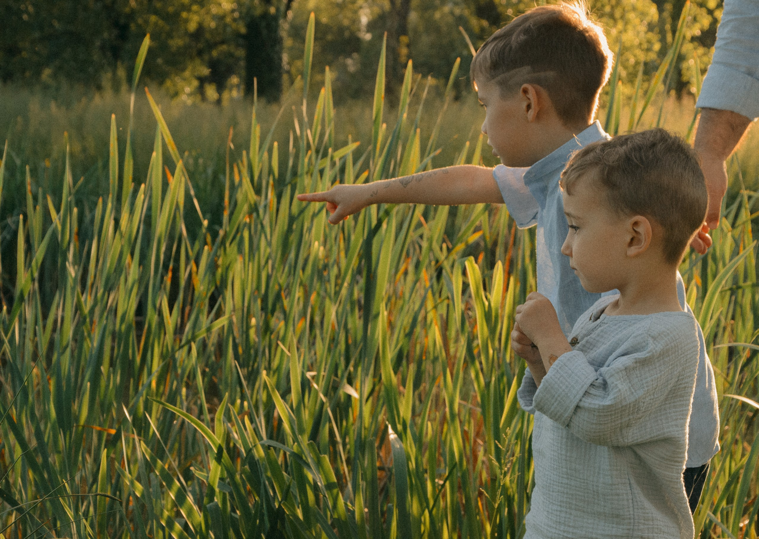 Childrens play in the park in Milan. Finding frogs with dad. Private photoshooting