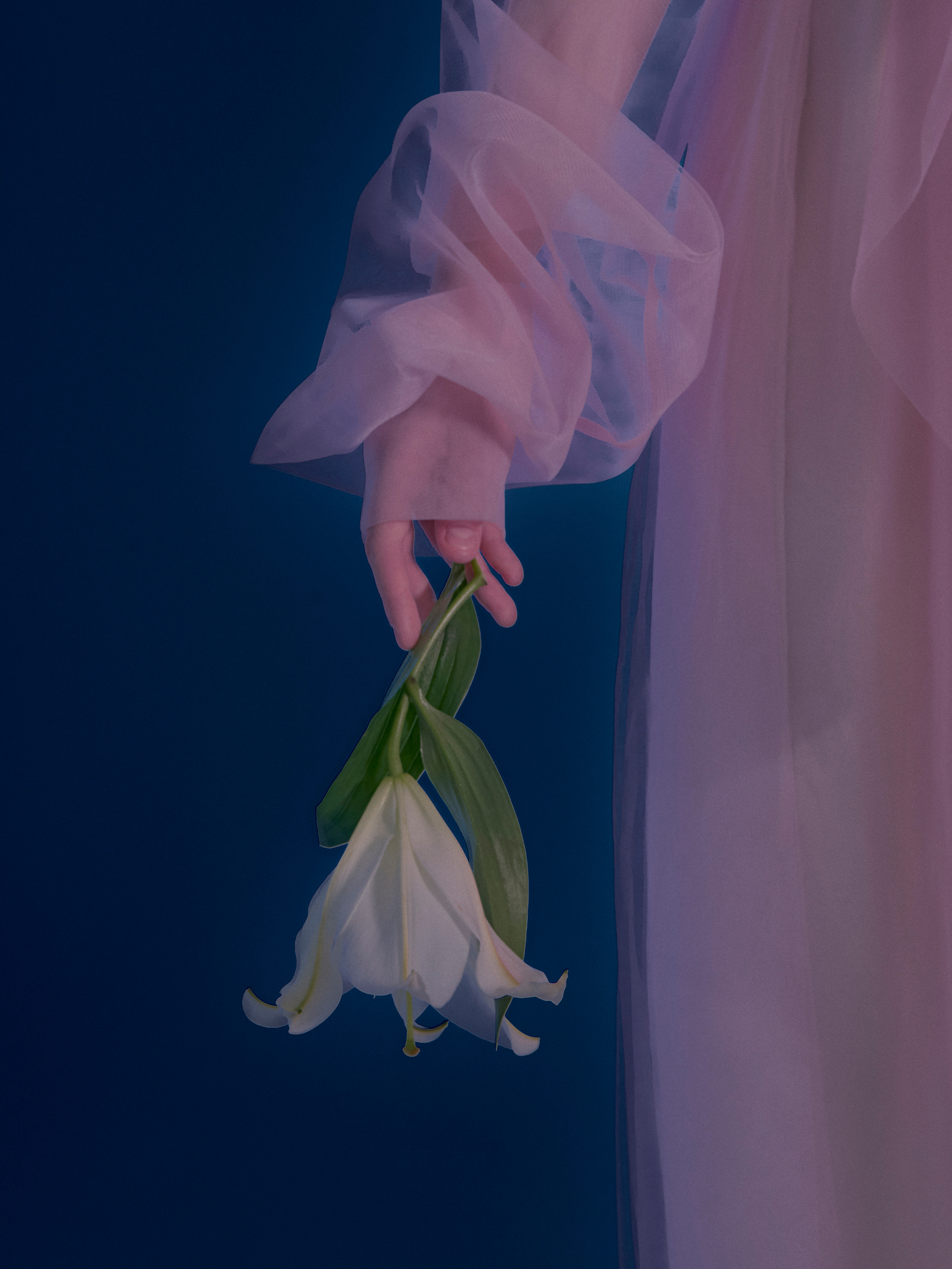 The Art Therapy. Фотограф в Москве Сидорова Ирина