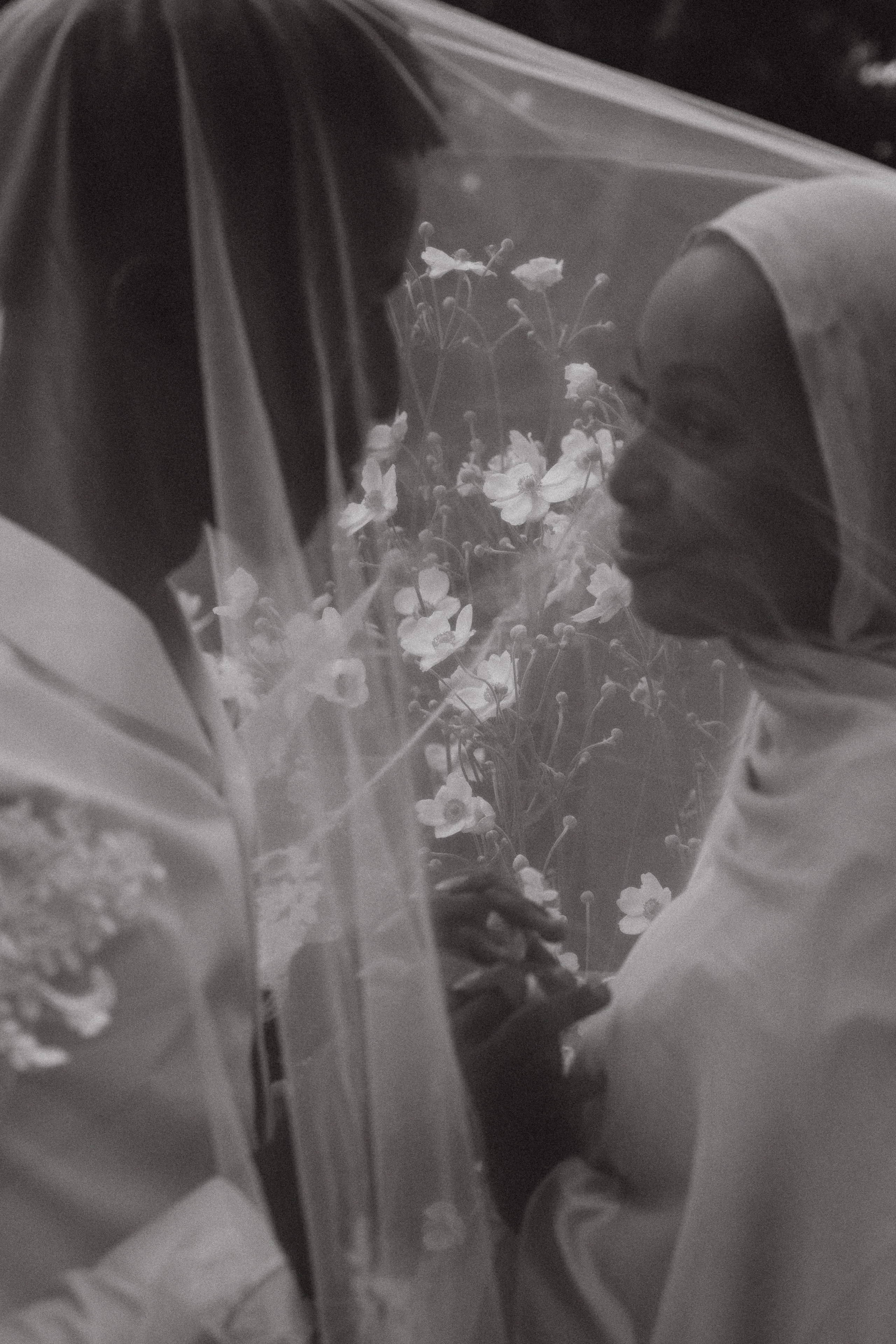 Elopment — San Francisco