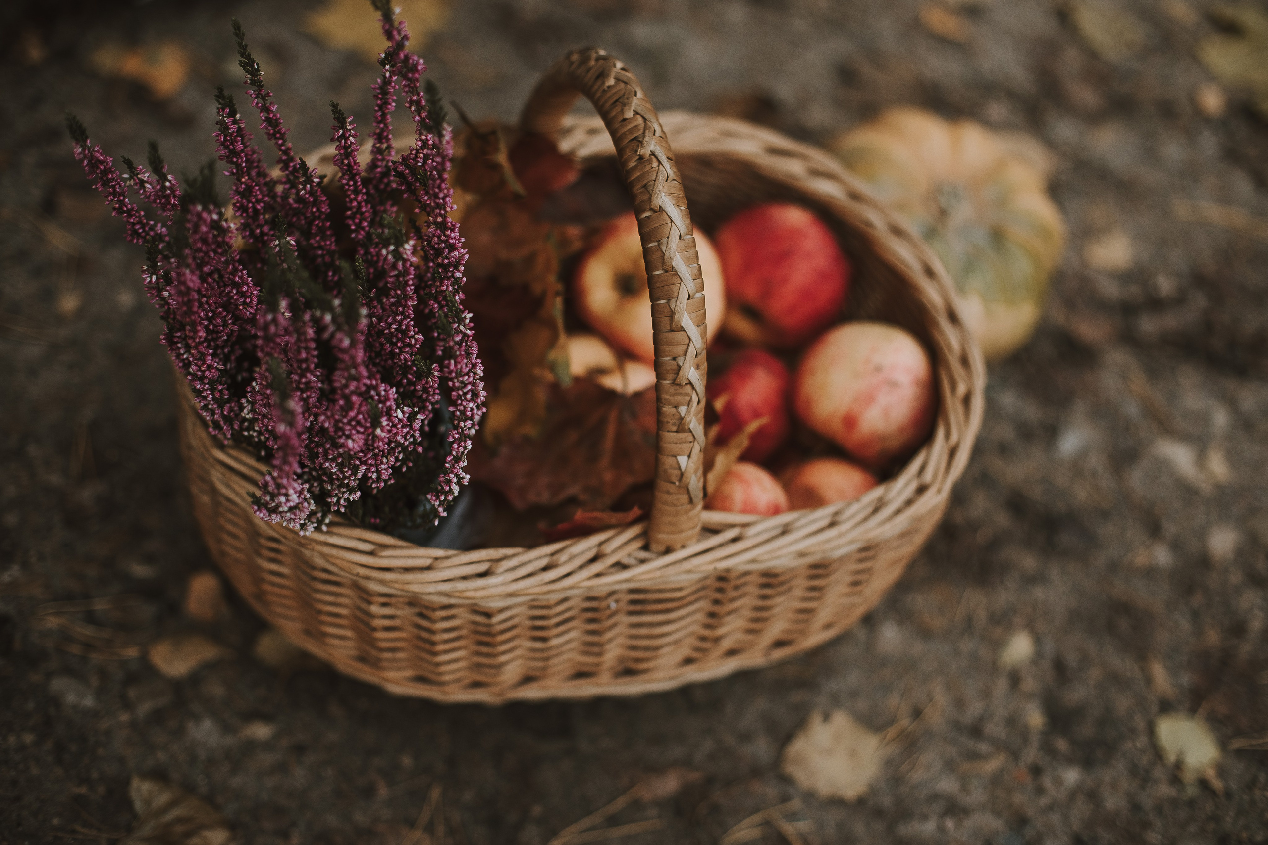 Rudens fotosesija ar mašīnu. Fotogrāfs Rīgā — Katerina Gordik