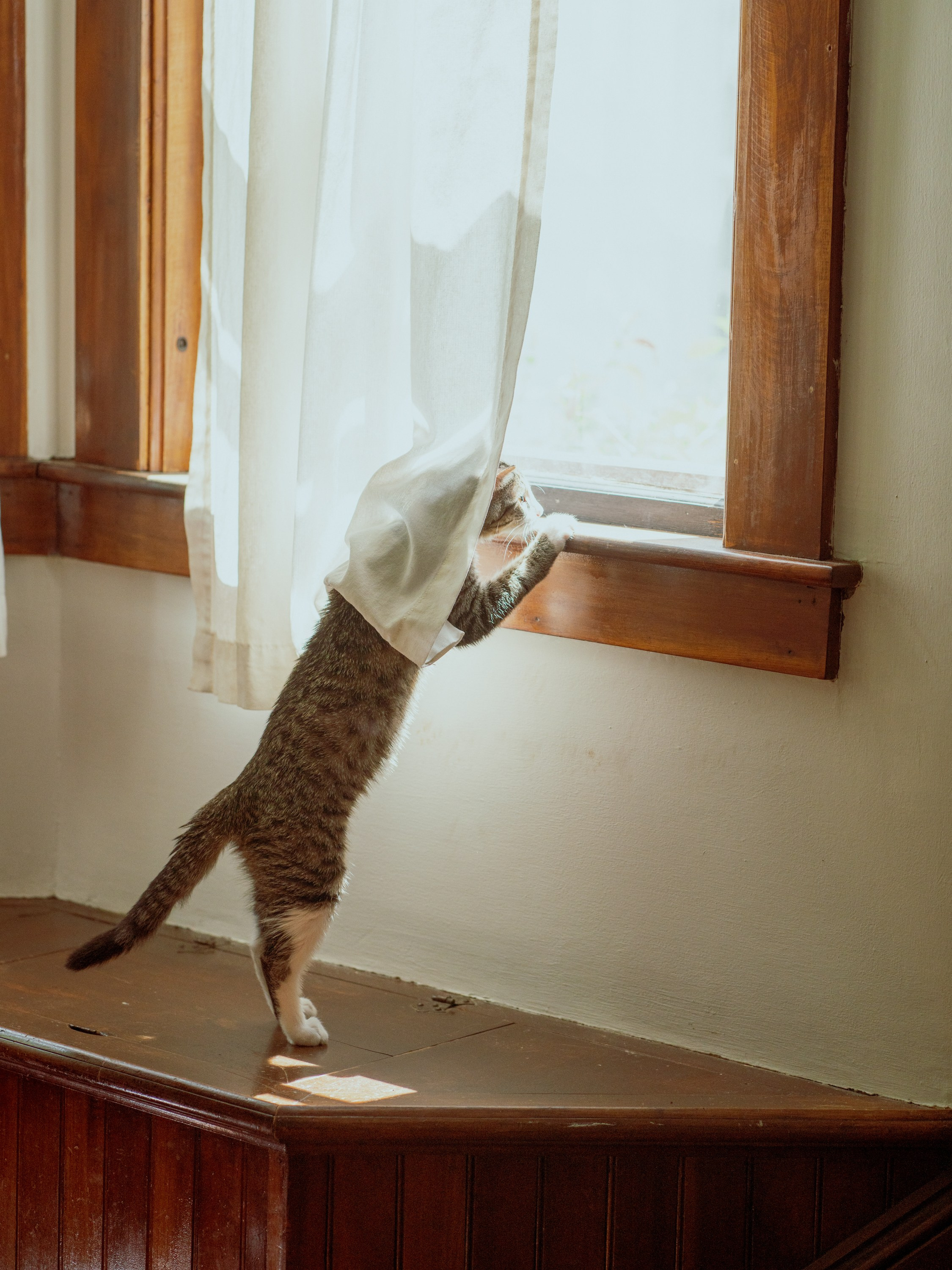 Mothers and Children. Лило Даниелян | Visual artist