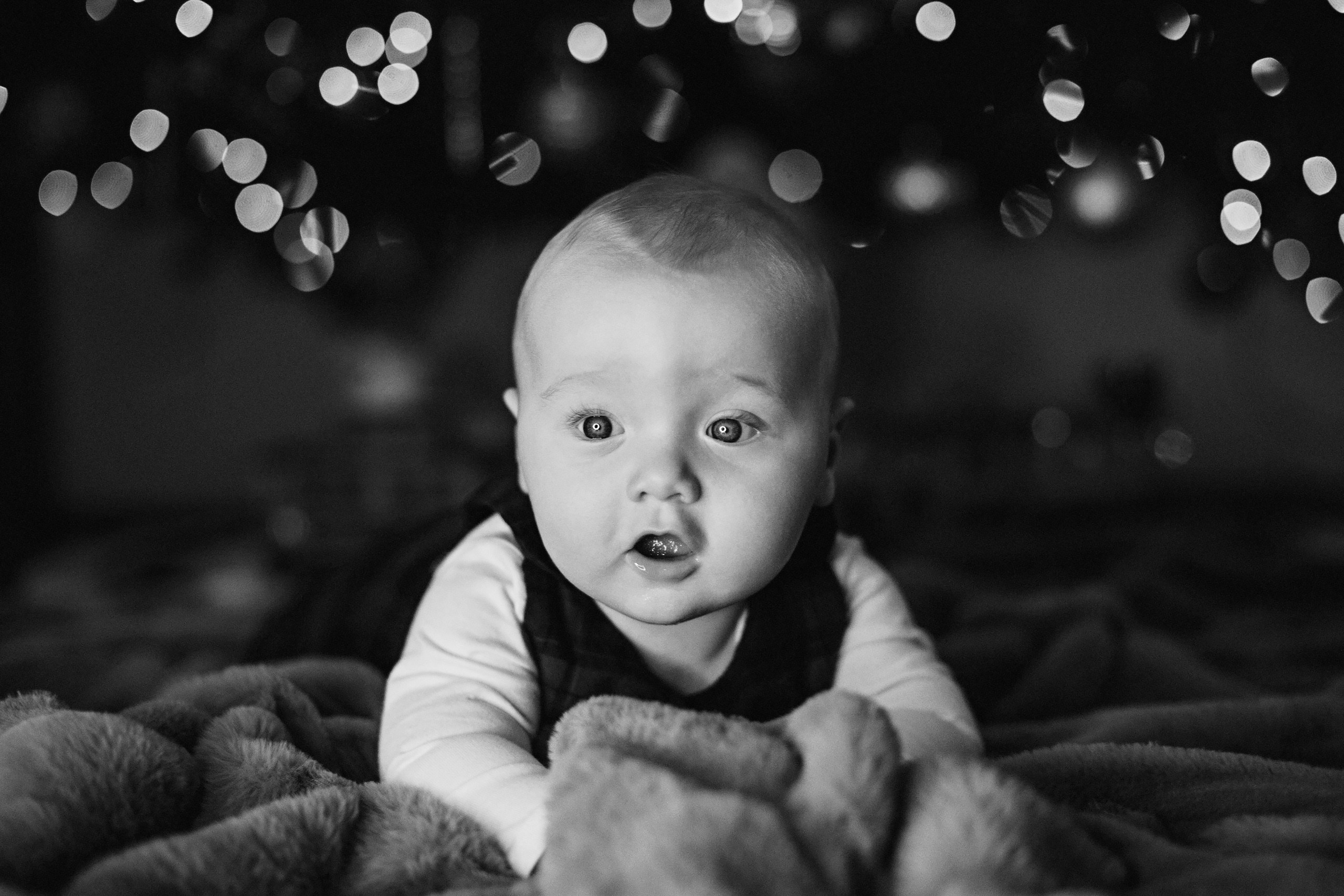 19.11.2023 Christmas Photoshoot. Wedding family event photographer in Chicago Nick Yushevich