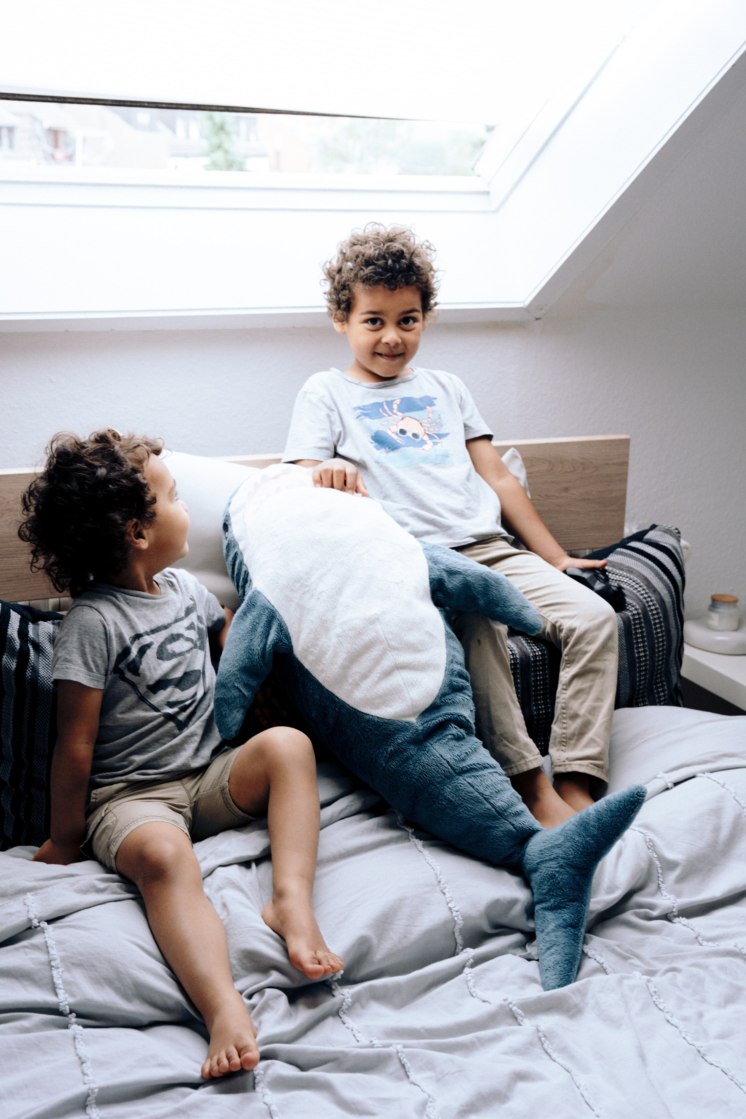 Kraken. Photograf NRW