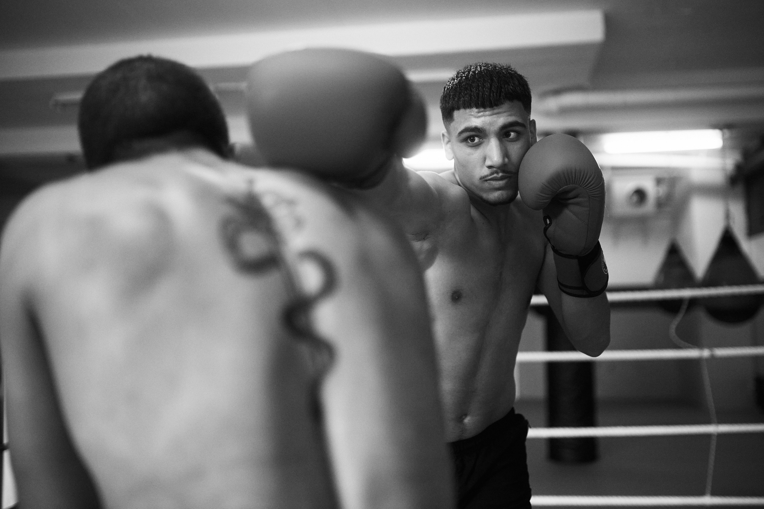 Boxing Hamid. Personal, fashion, business Photographer in Netherlands
