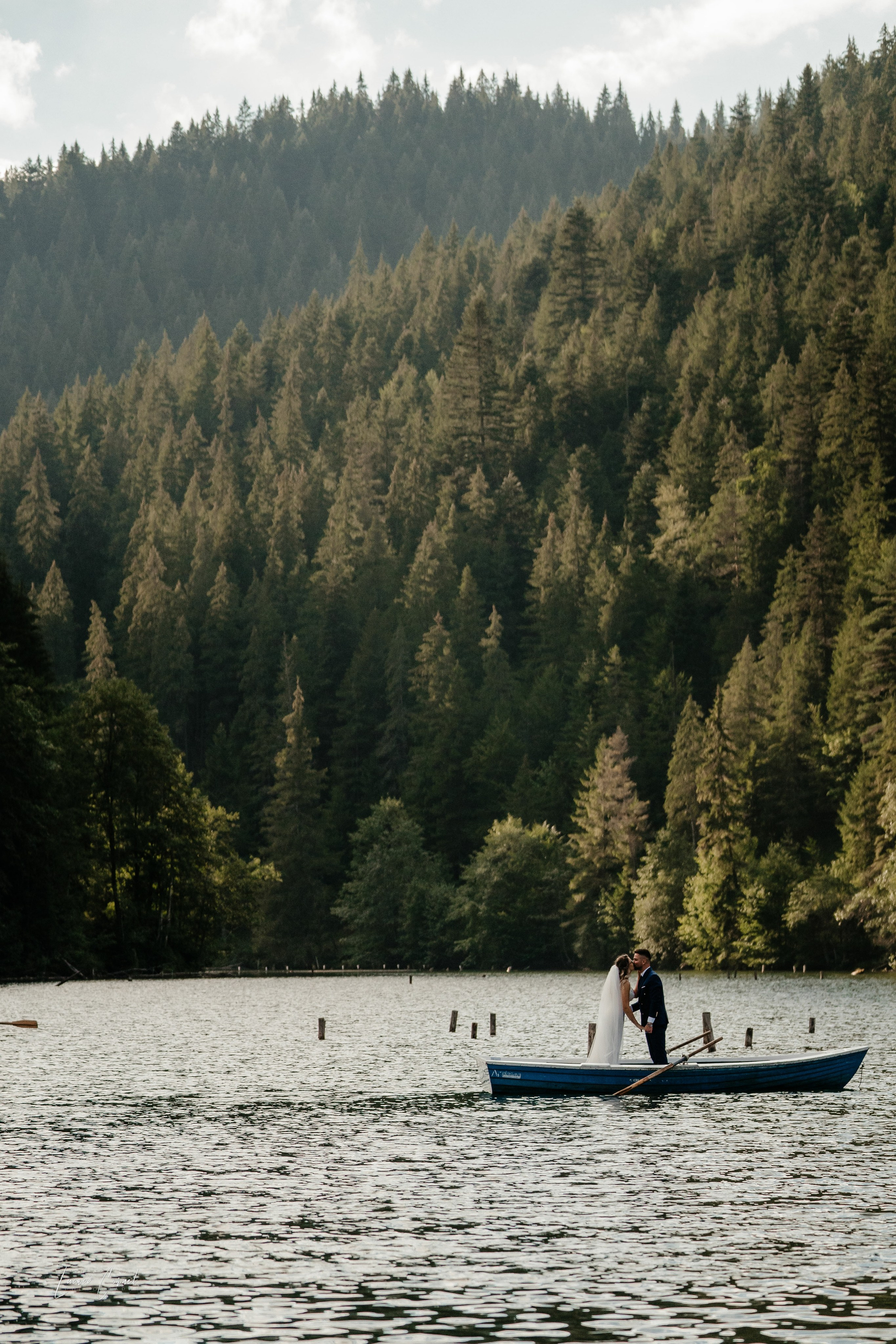 Fotograf de Nuntă Profesional — Fotografie Jurnalistică și Clasică pentru Amintiri de Neuitat. Fotograf de nuntă, corporate, botezuri, majorate și aniversări Roman, Lucaci Cornel