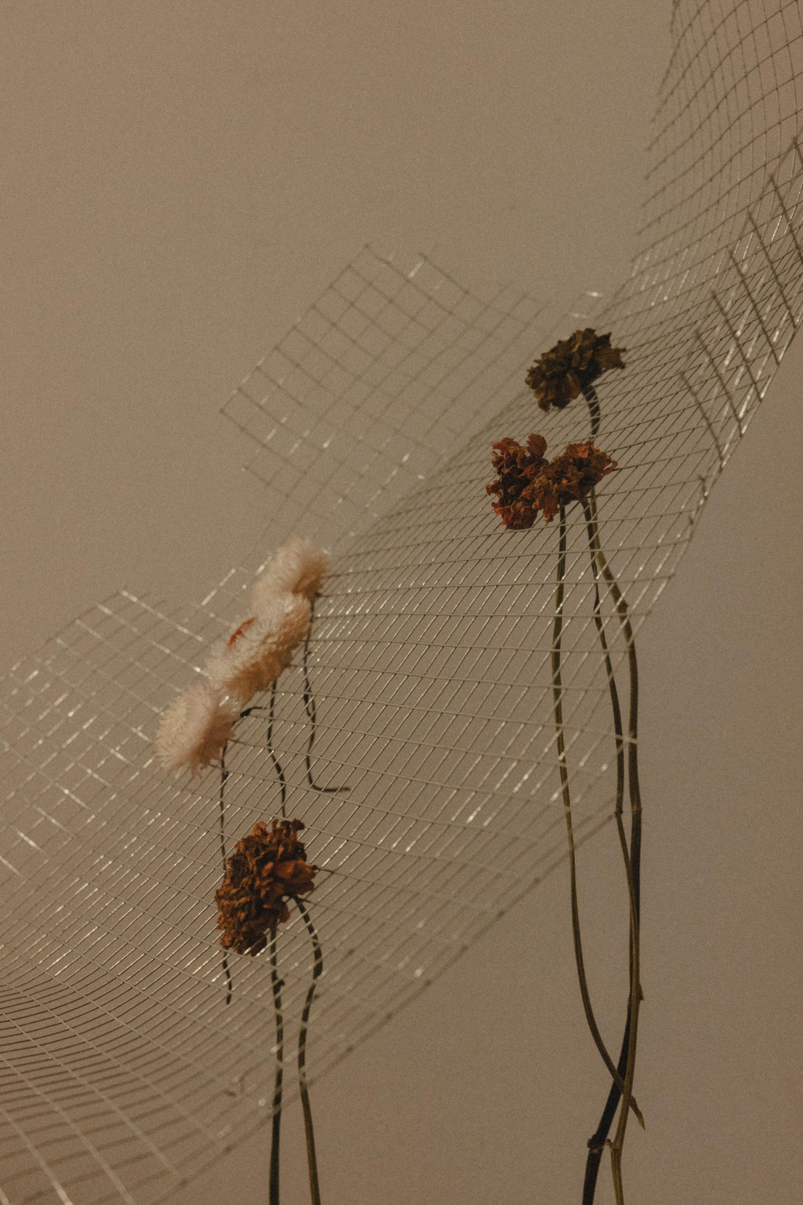 Photography: Kamila Solarz