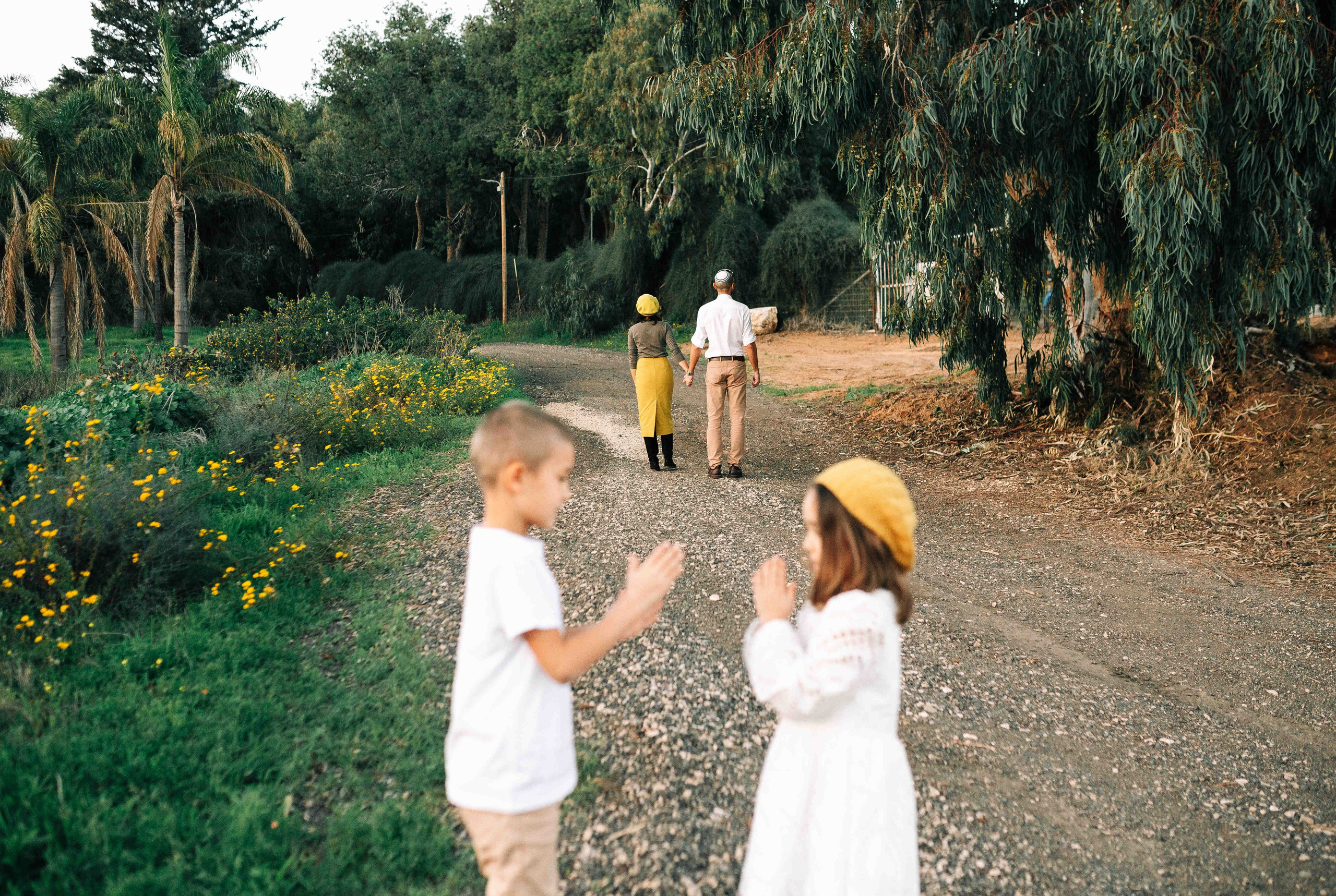 MANDARNINE GARDEN. Https://shi-photo.com/