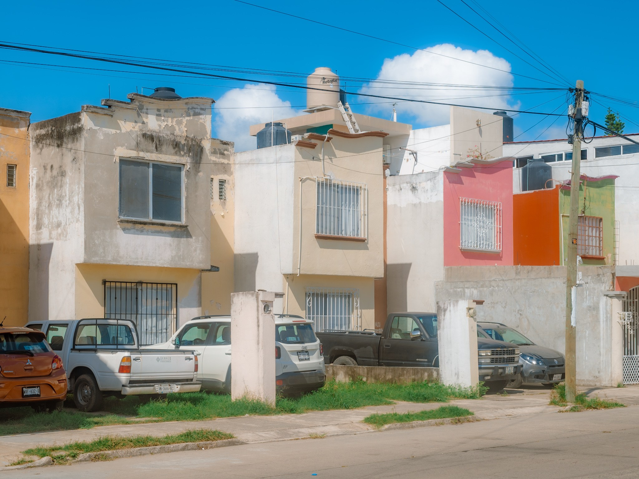 Estrellas de Buena Vista. 2025. Fotógrafo en Villahermosa | ERALPUCHE