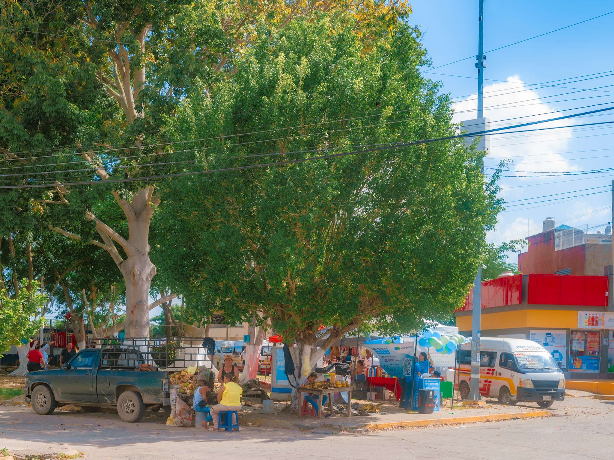 Estrellas de Buena Vista. 2025. Fotógrafo en Villahermosa | ERALPUCHE
