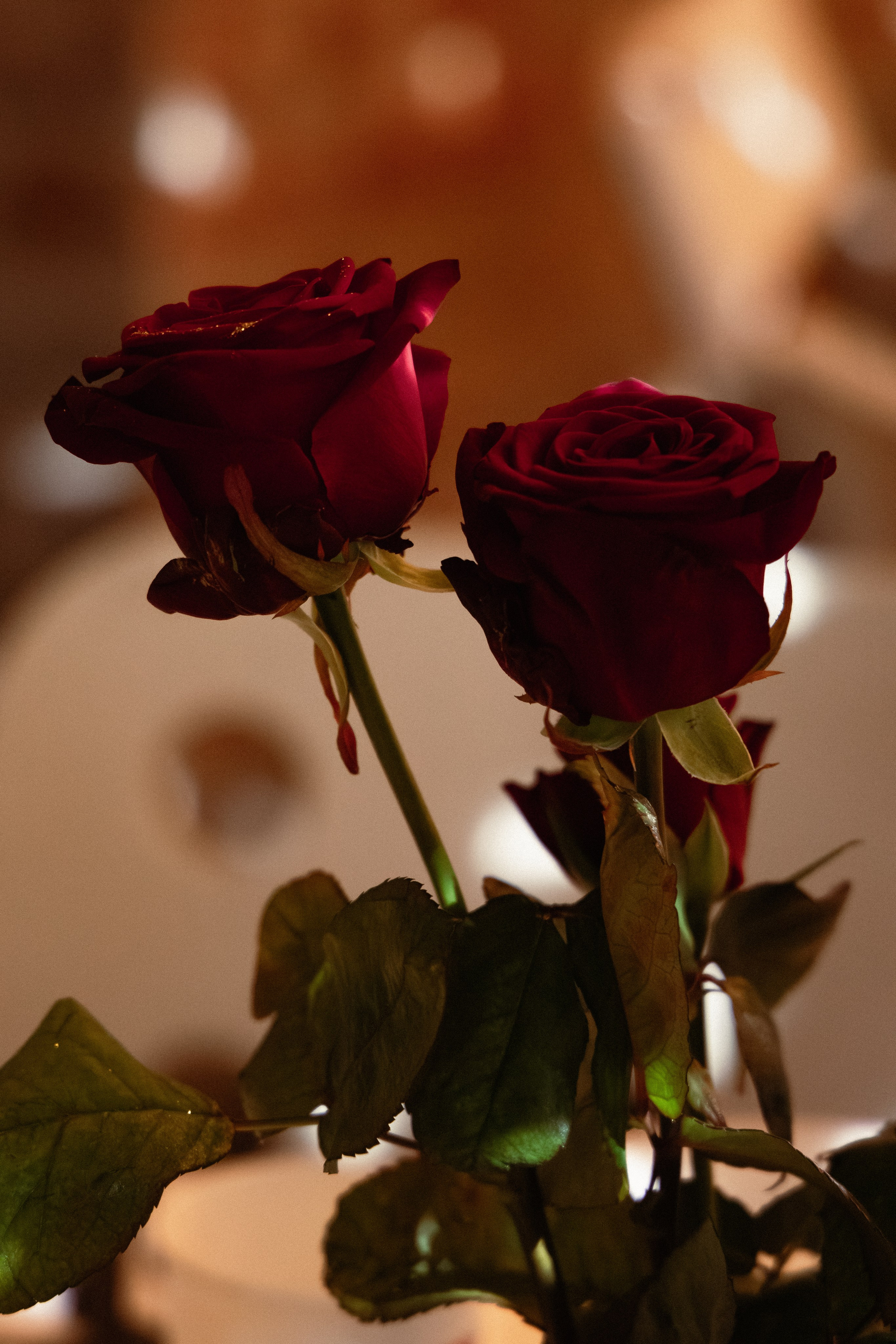 Conference Riga 2024. Дизайнер и Фотограф в Кишинёве Бусуйок Станислав