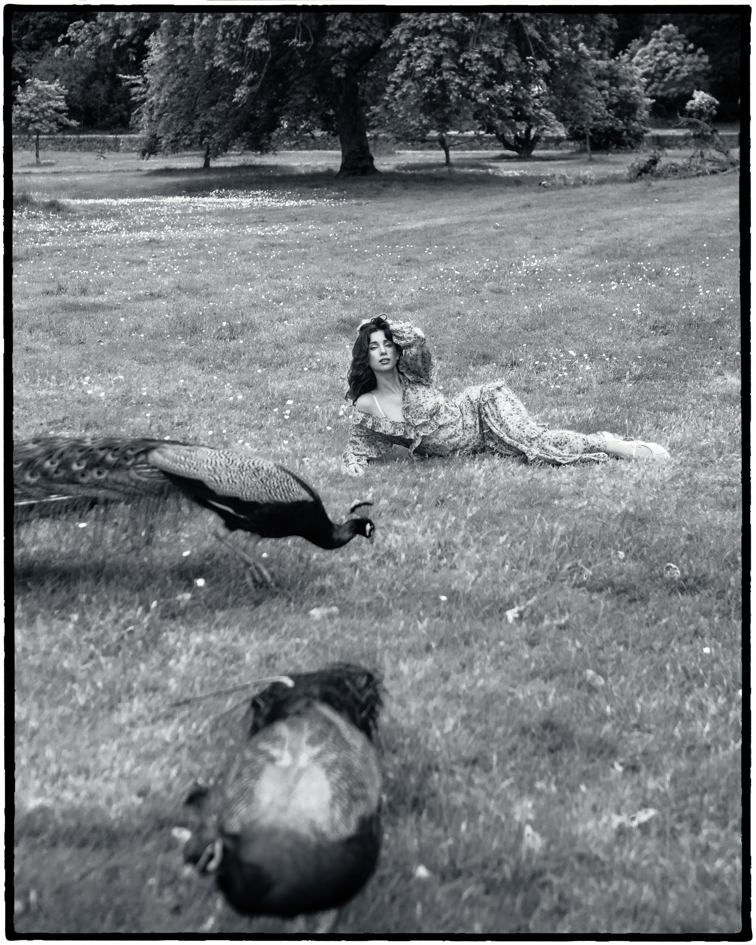 Outdoor Fashion & Creative Shoots. Creative Portrait Photographer in Ireland — AMELPOMENEM