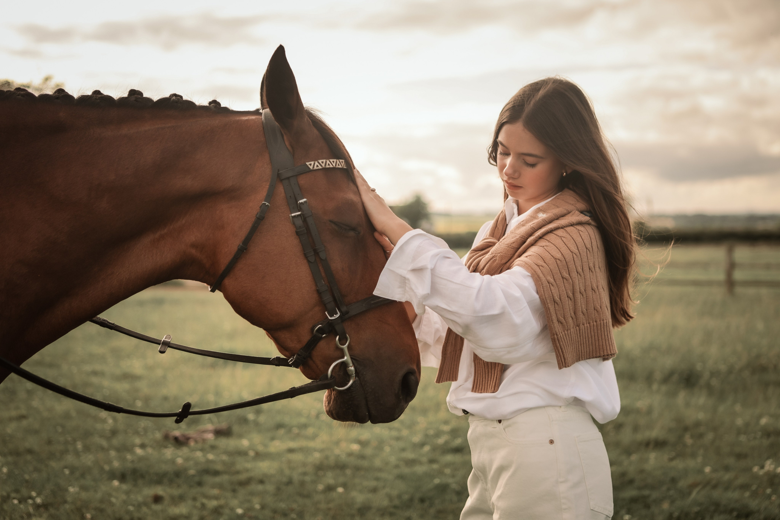 Among the Horses. Photographer Co Dublin, Balbriggan — Agata Maliseva