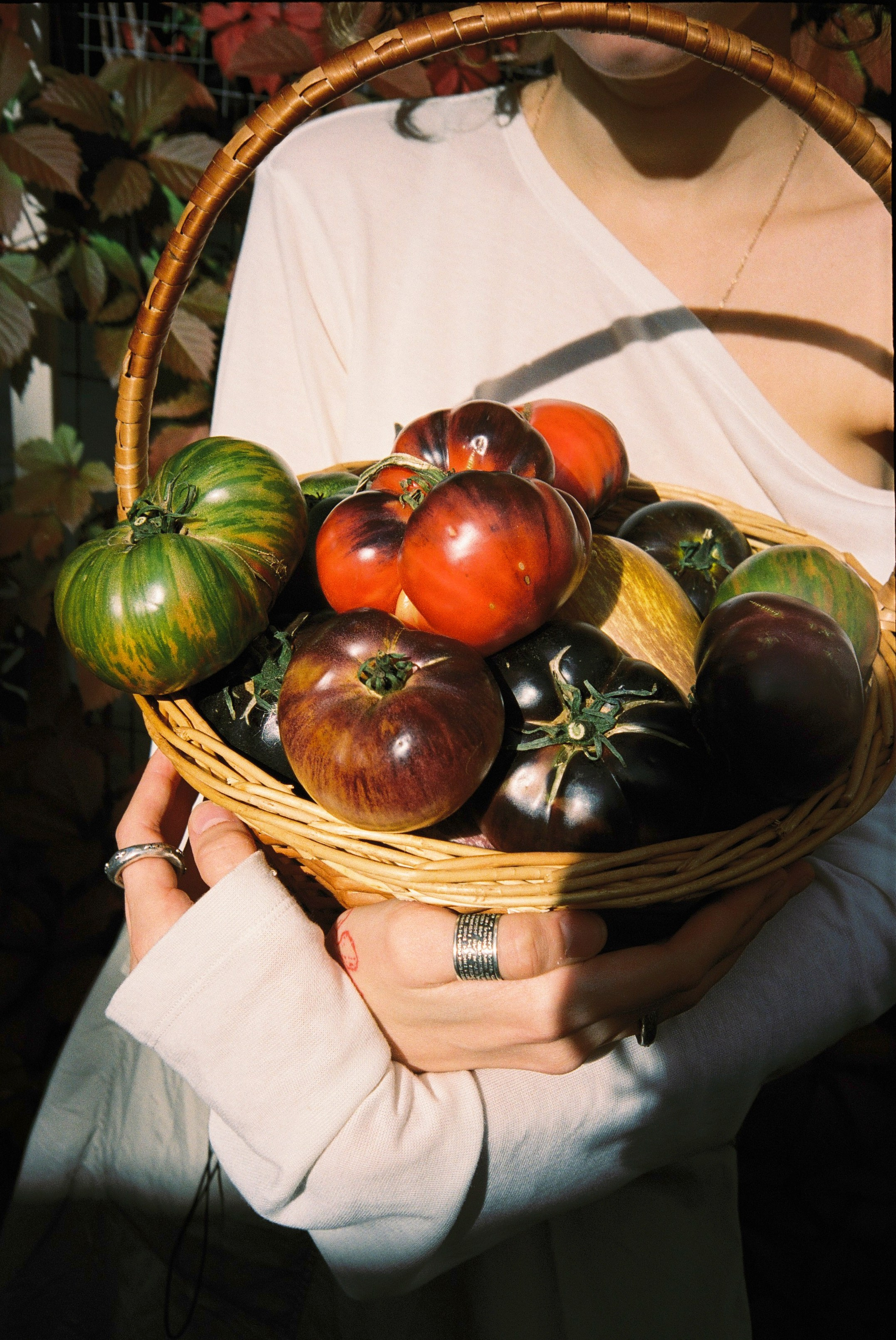 Restaurants & parties