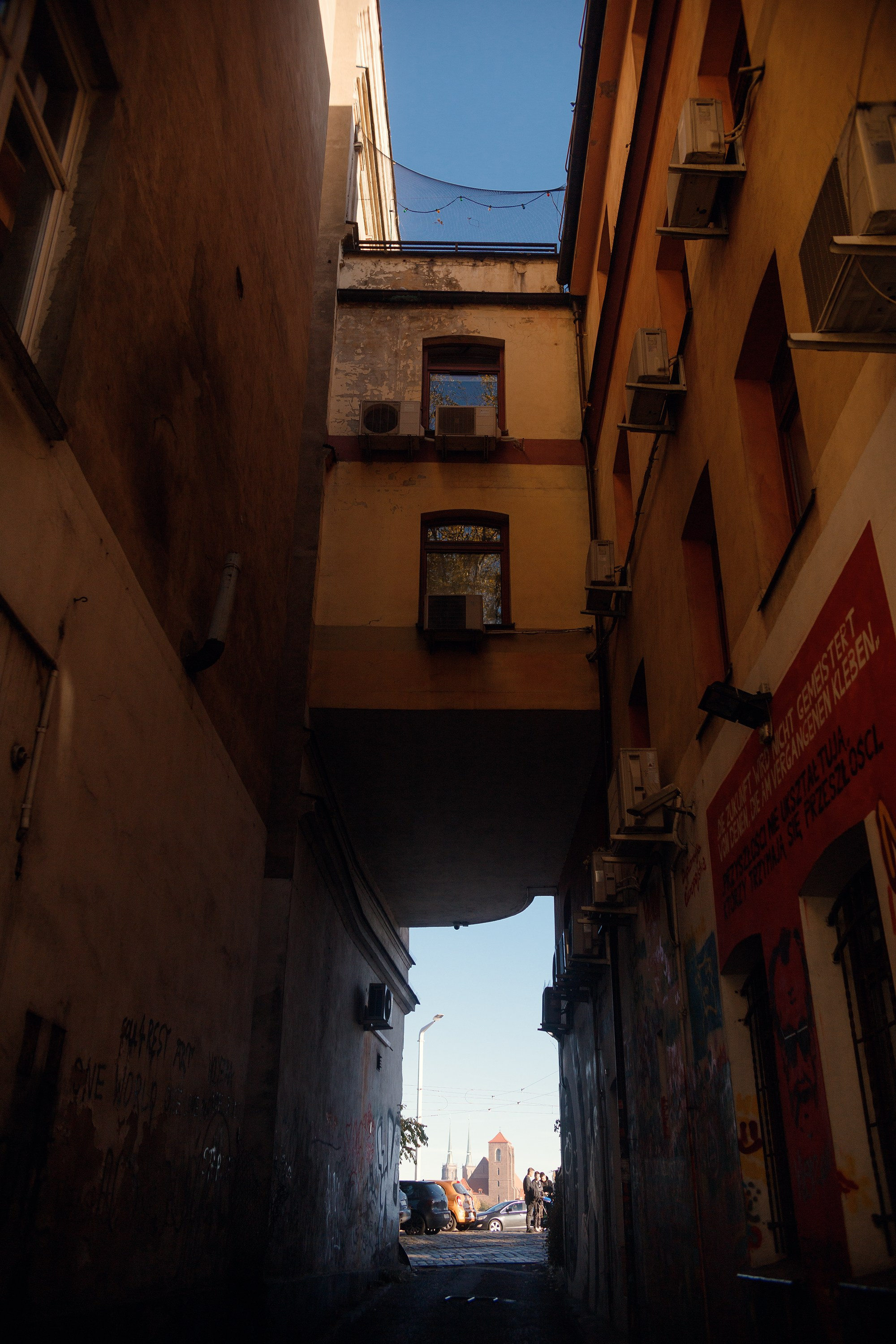 Wroclaw | the best ones. Kaja | fotograf psów we Wrocławiu