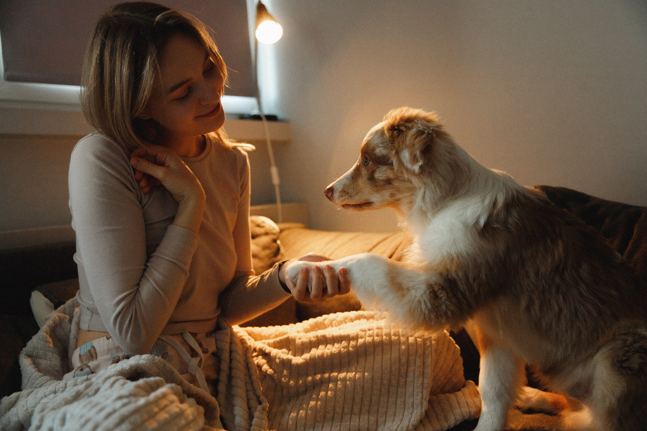 Fotografia psów Wrocław. Kaja | fotograf we Wrocławiu | ludzie i psy