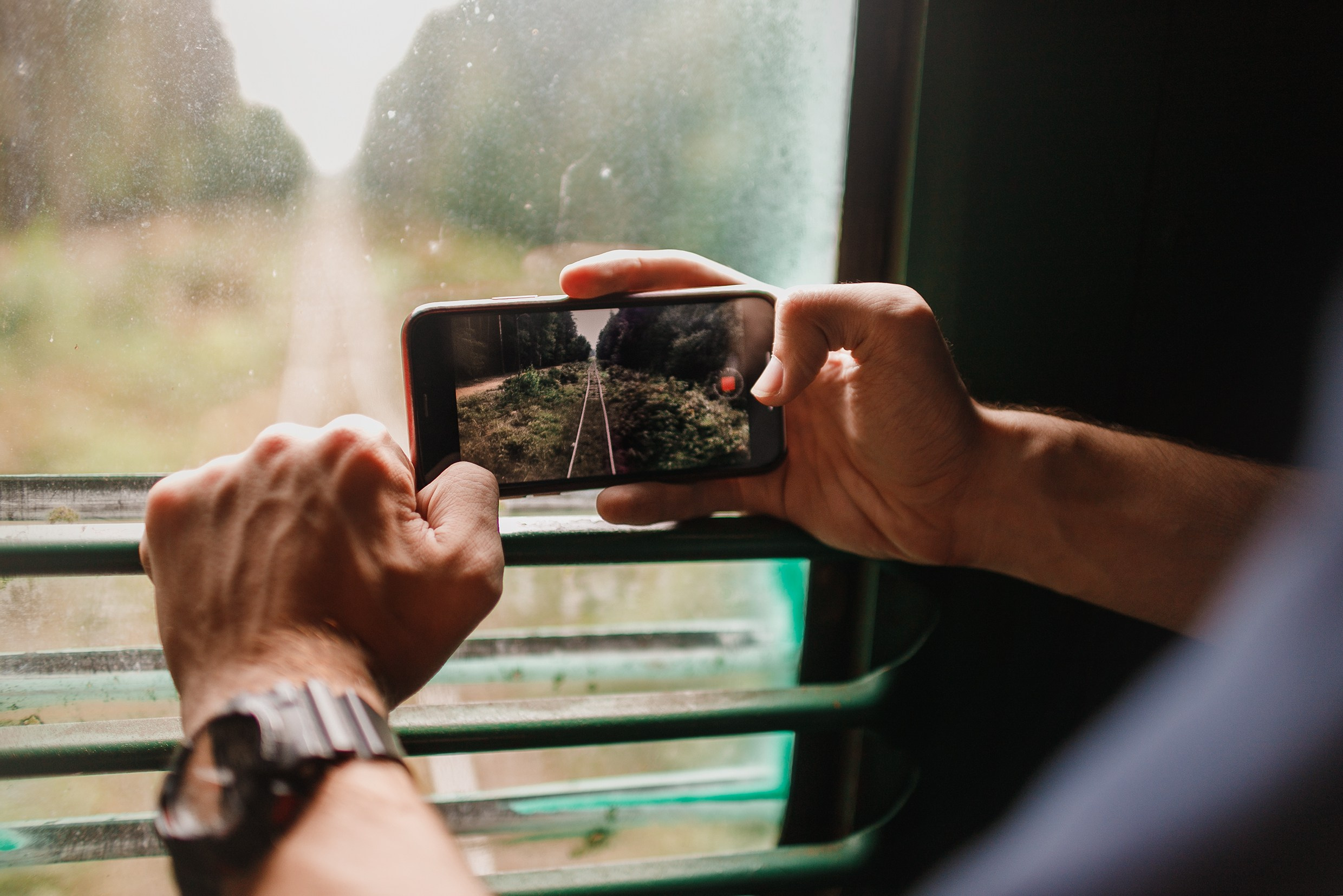 Narrow-gauge railway trip. Kaja | fotograf psów we Wrocławiu