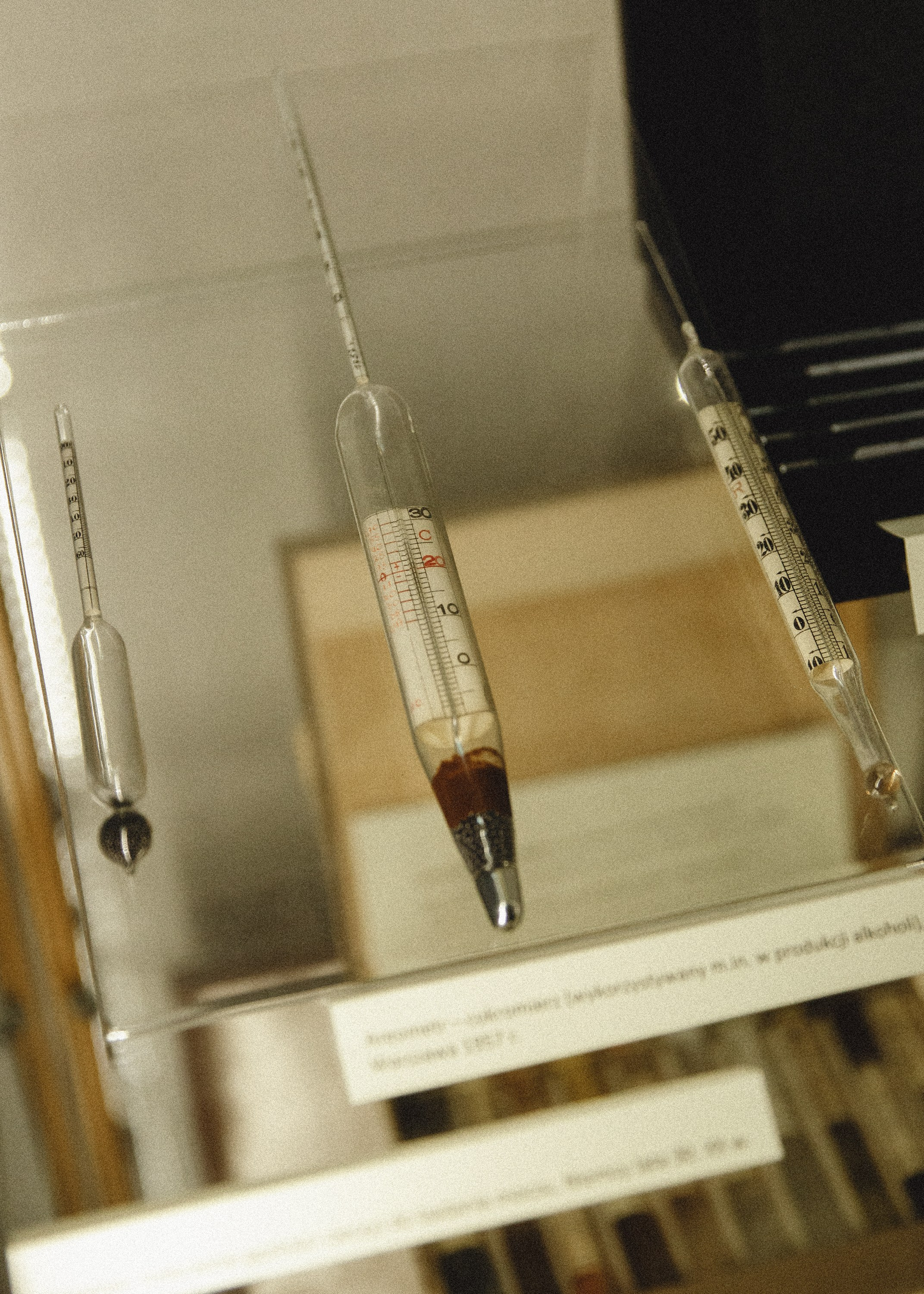 Museum of farmacy in Wroclaw. Kaja | fotograf we Wrocławiu | ludzie i psy