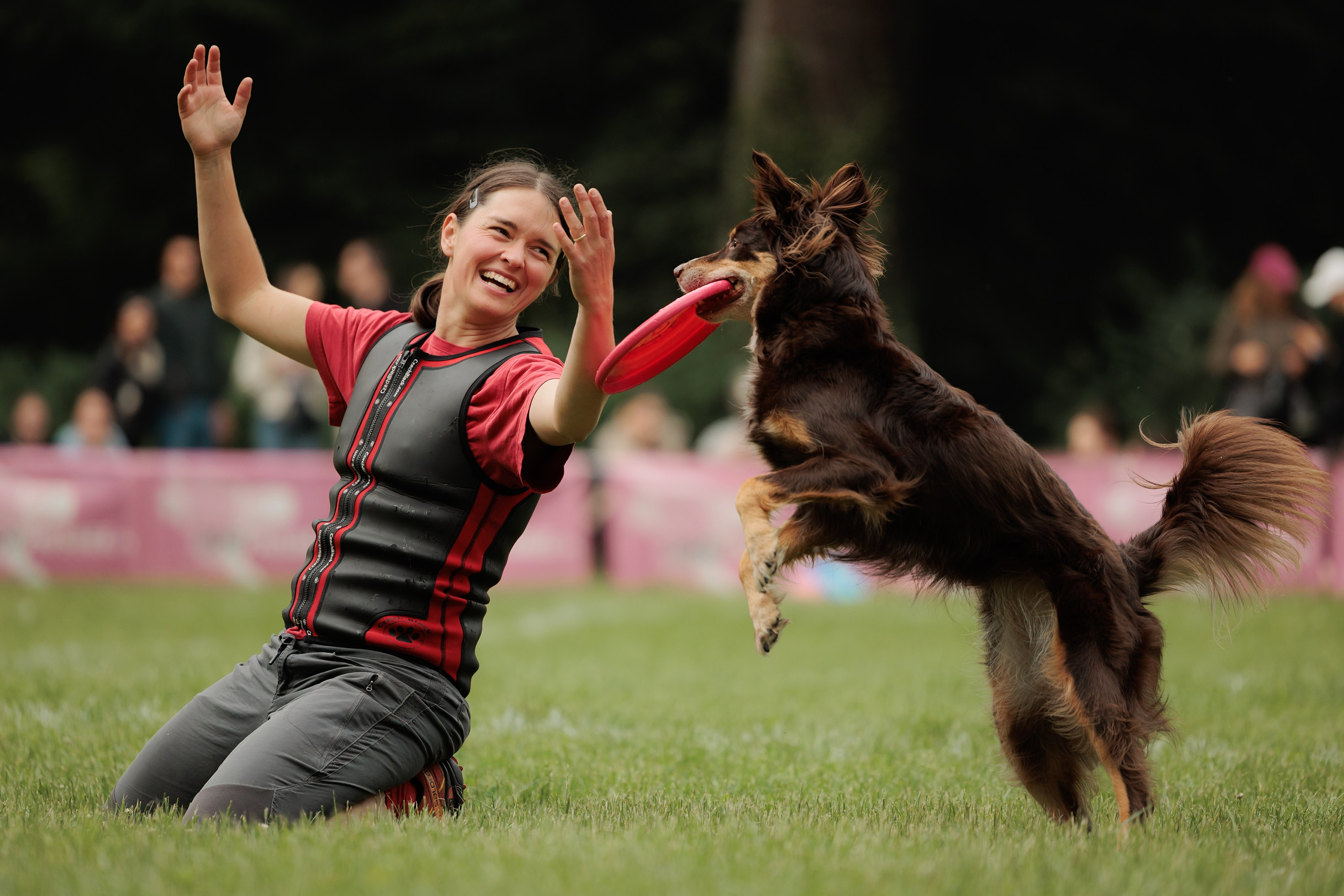 Latające psy, Wrocław'25. Kaja | fotograf psów we Wrocławiu